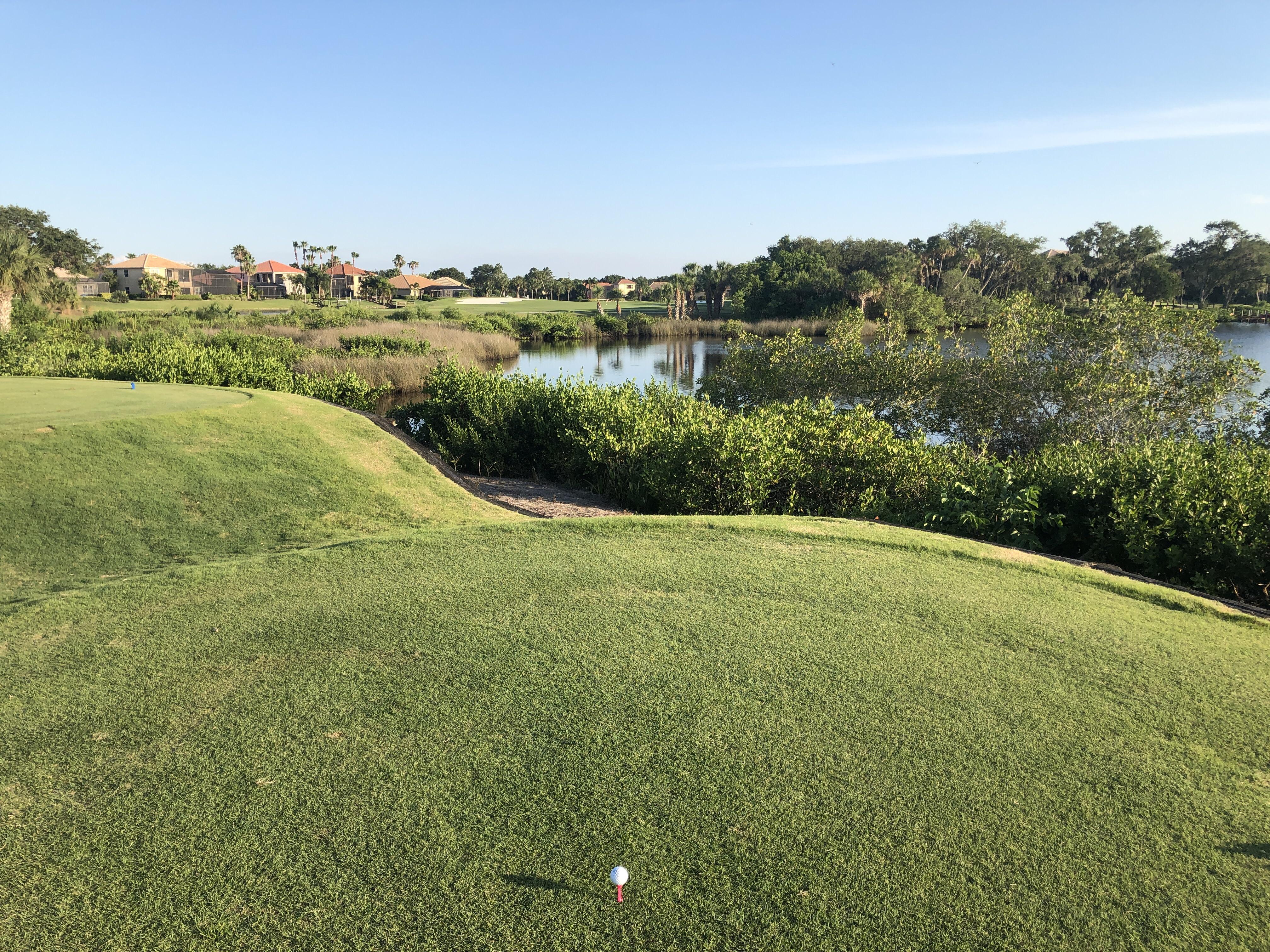 Tee shot from 17 Waterlefe Golf and River Club. r/golf