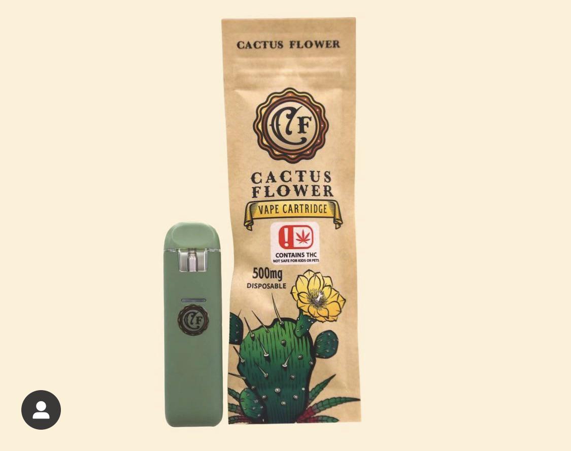 Cactus Flower Packaging r/cactus
