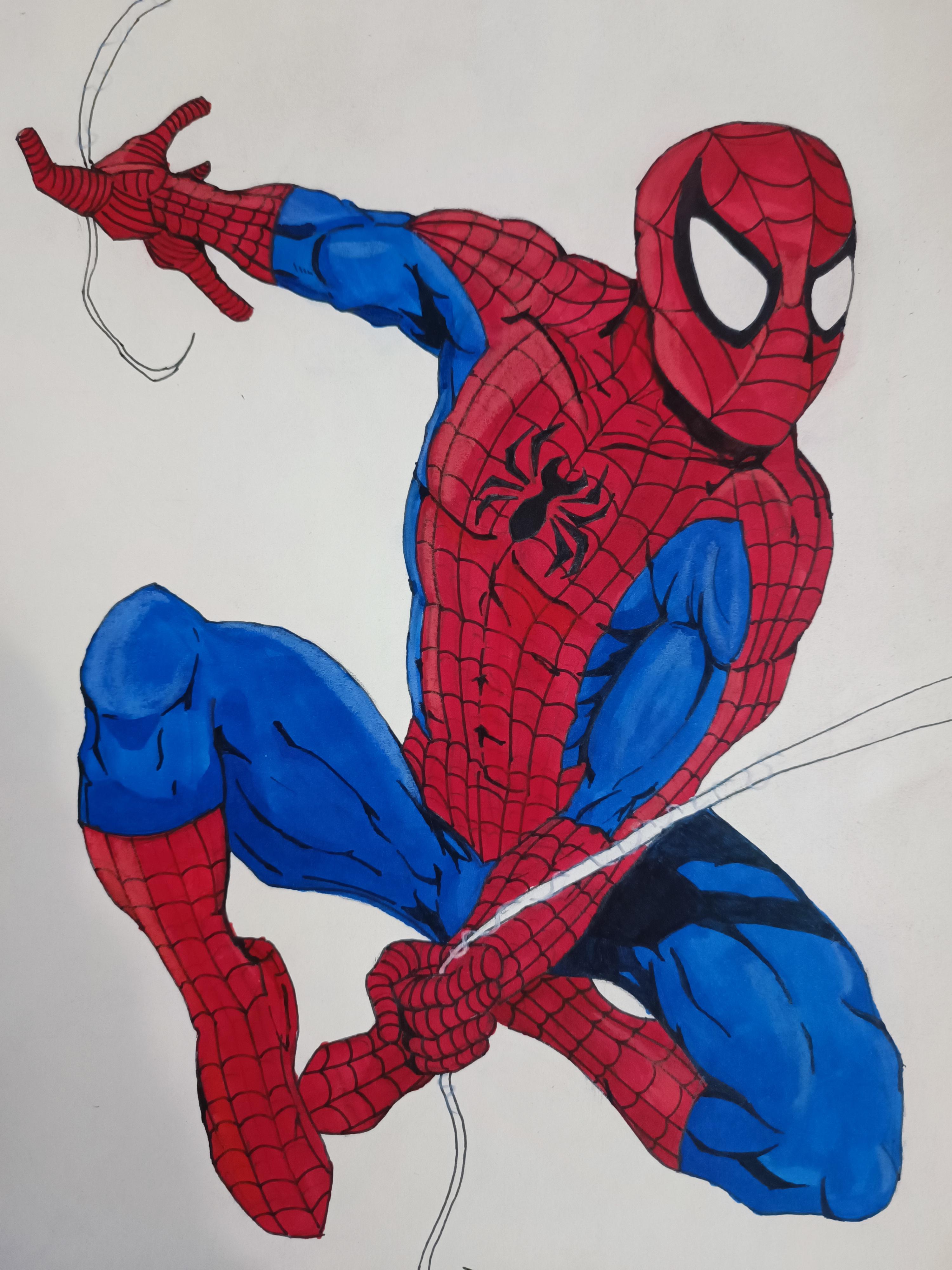 The Amazing Spider Man Logo Coloring