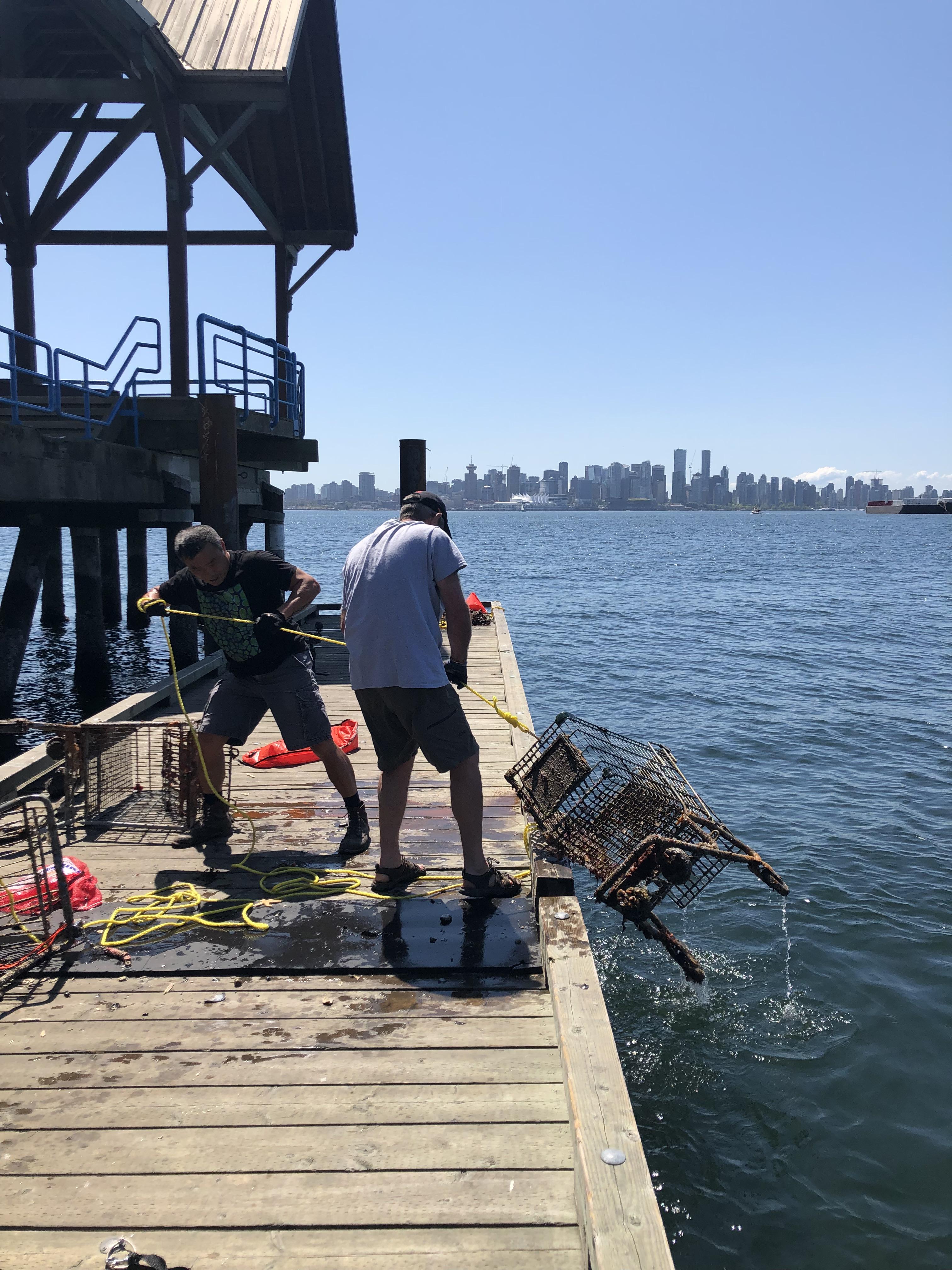 Lower Lonsdale Car Crash NorthVancouver