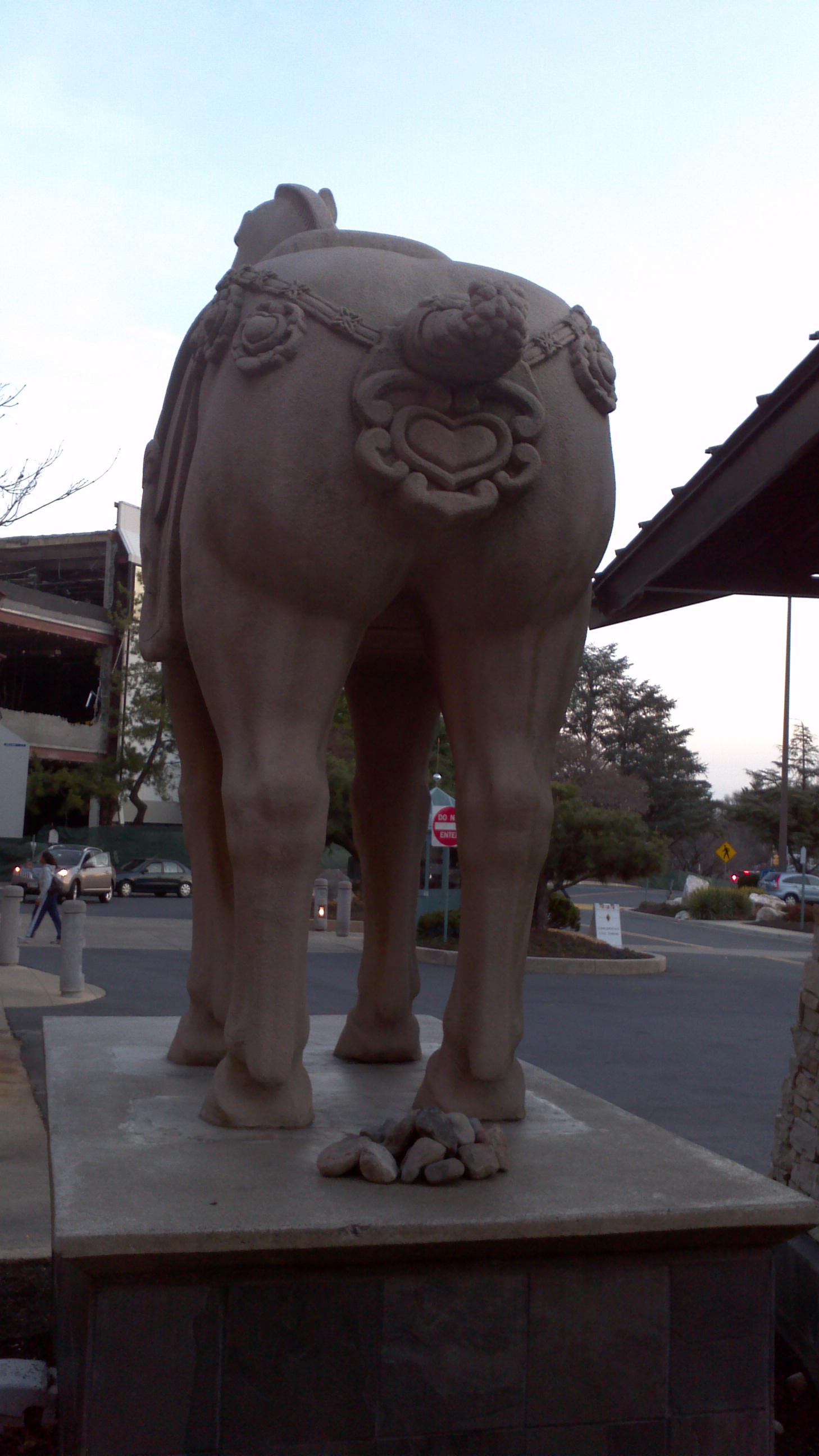 ITAP of a PF CHANG horse with a pile of road rocks below its tail