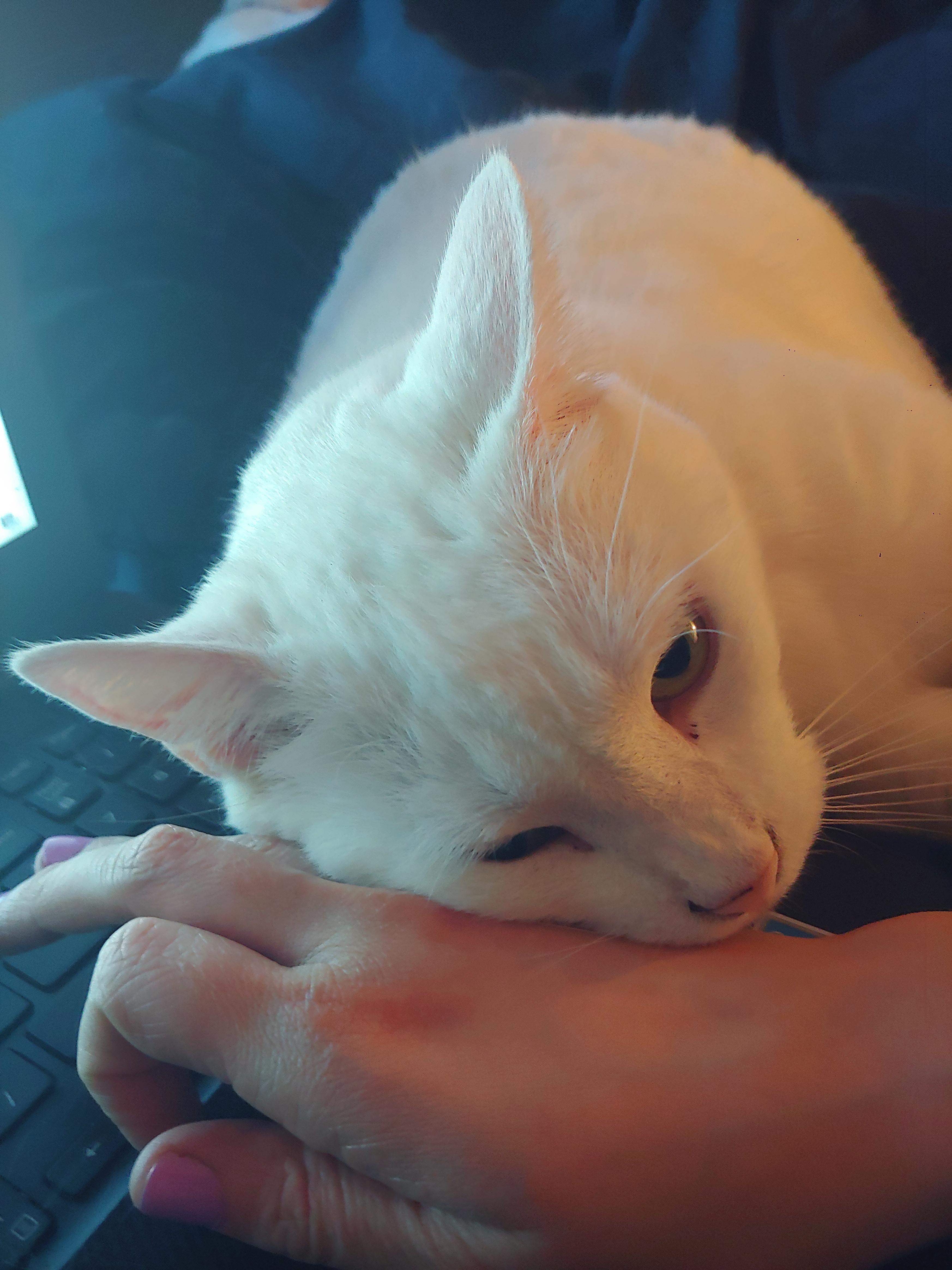 She accidentally scratched me and now she's trying to apologize. r