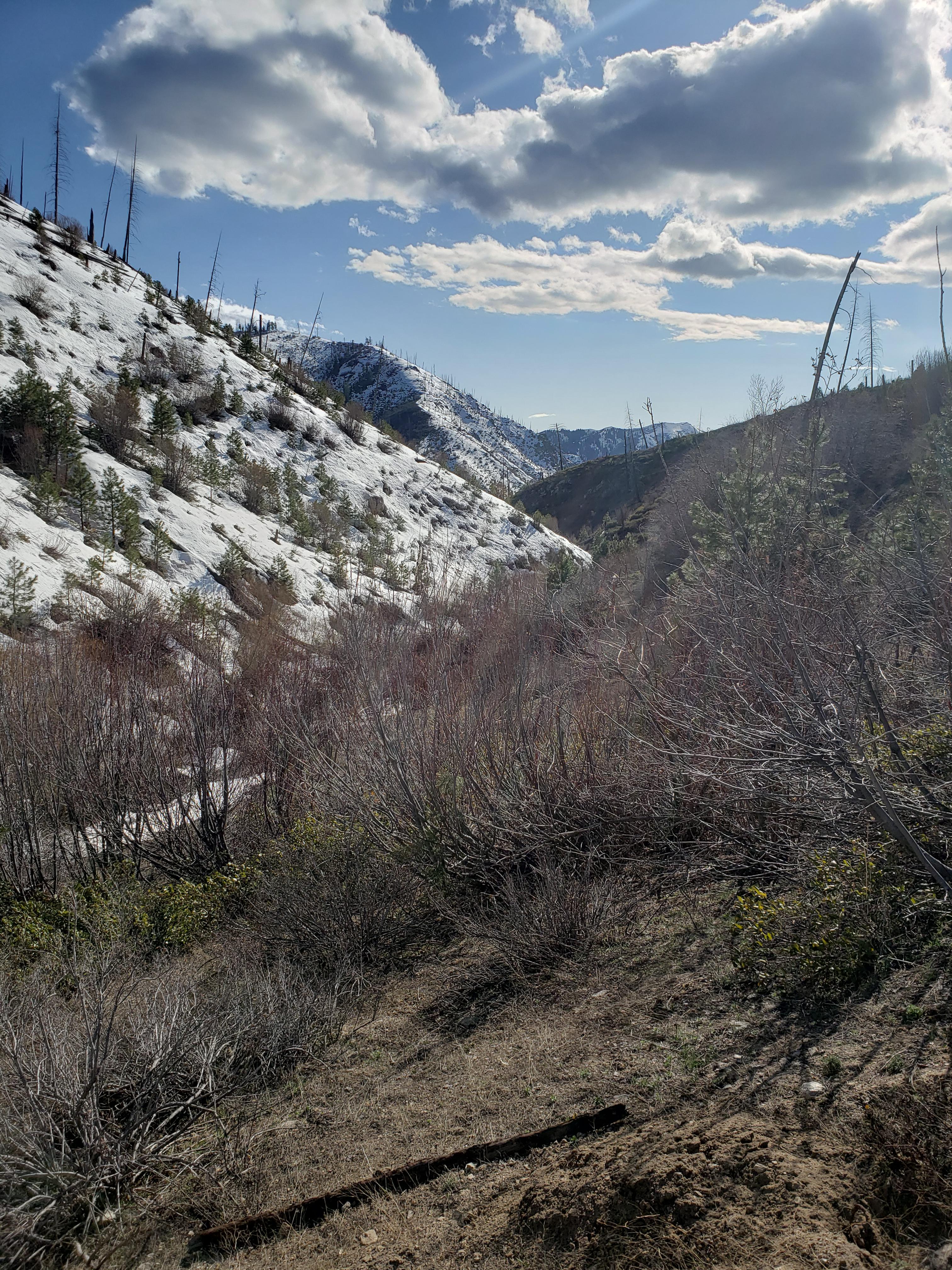 Cottonwood Creek East of Boise r/Idaho