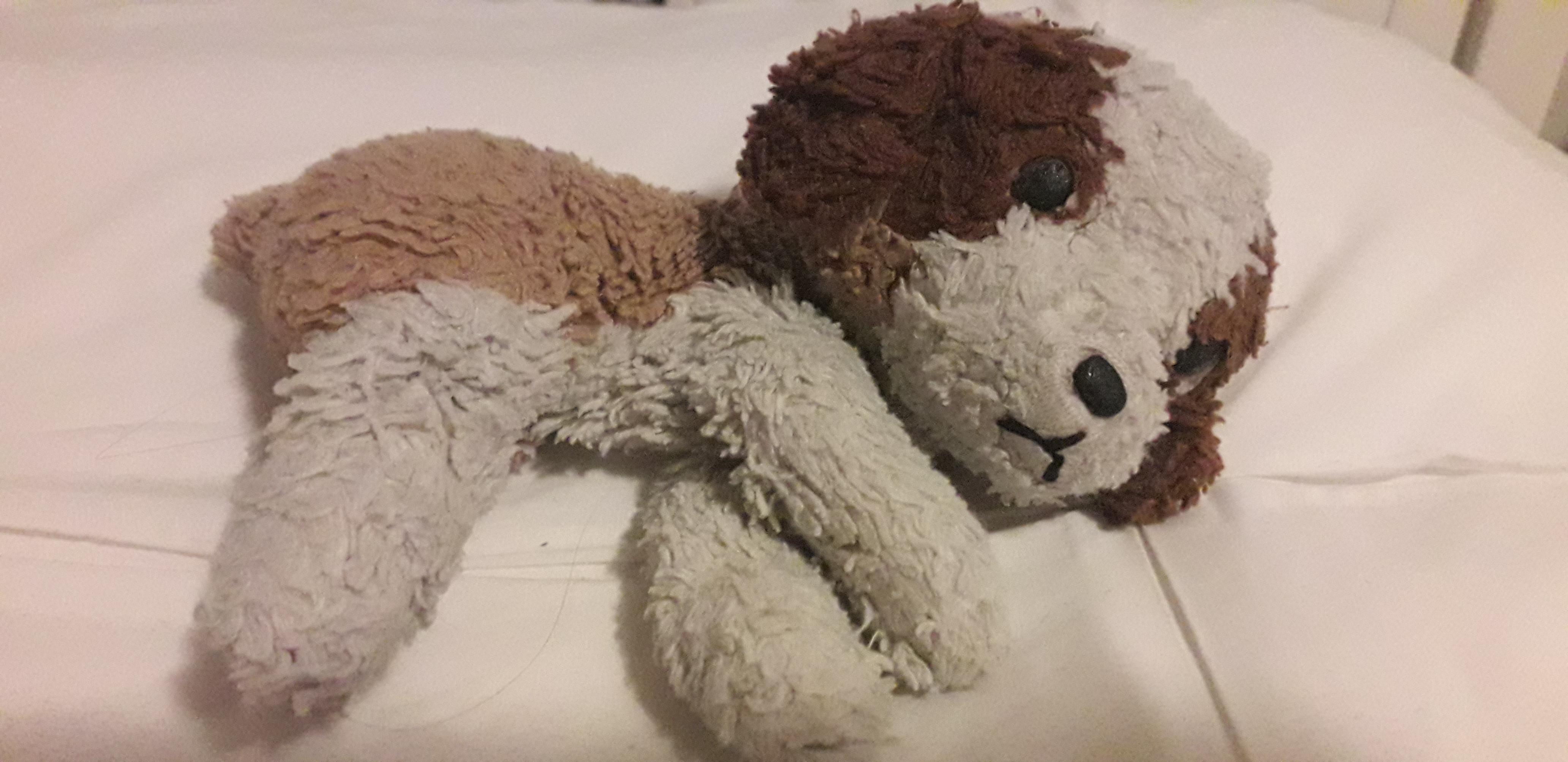 Does anyone recognize this stuffed animal or where it could be from? I want to get a similar one