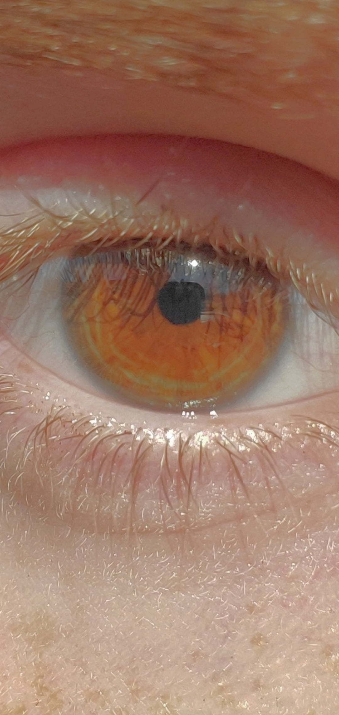 Brown or Hazel? eyes