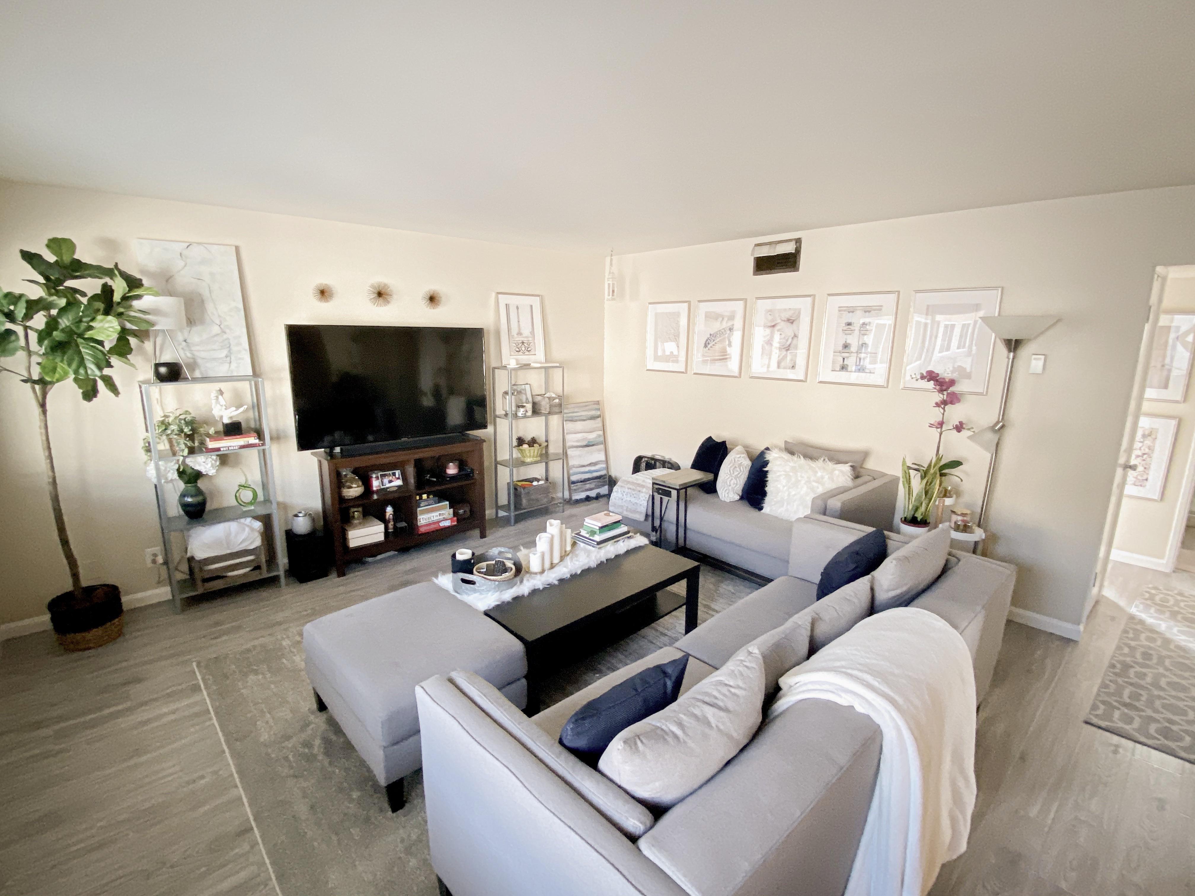 Apartment living room Oakland, CA r/AmateurRoomPorn