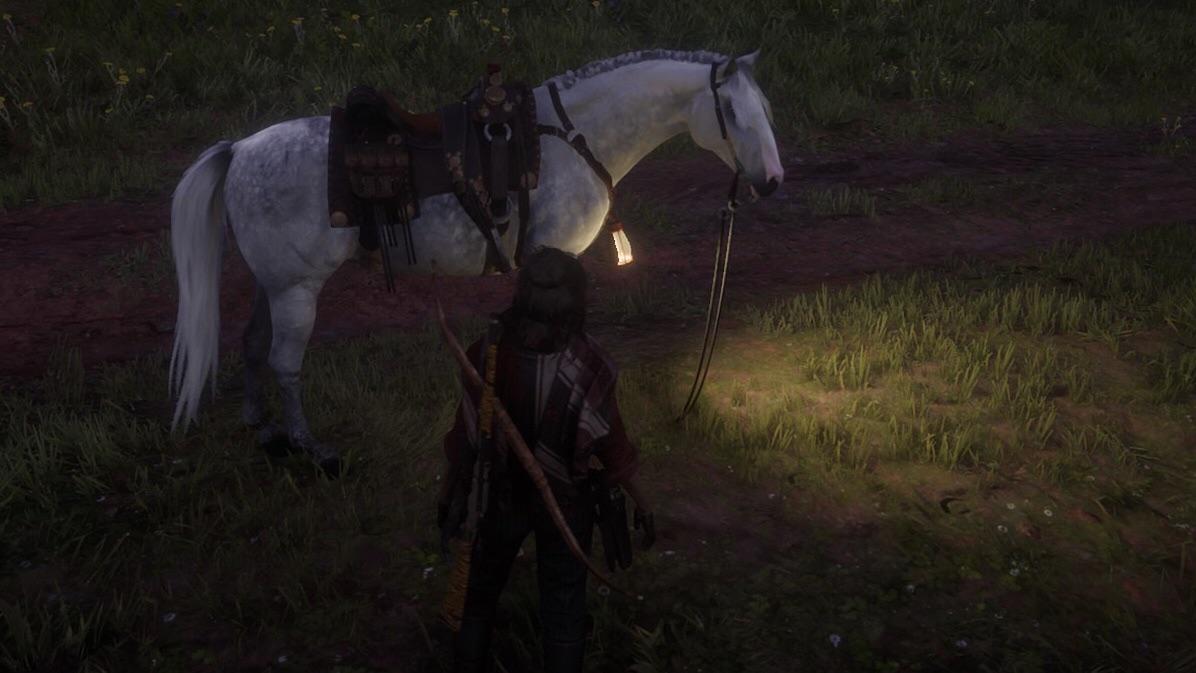 TIL you can hitch your horse to the ground r/RDR2