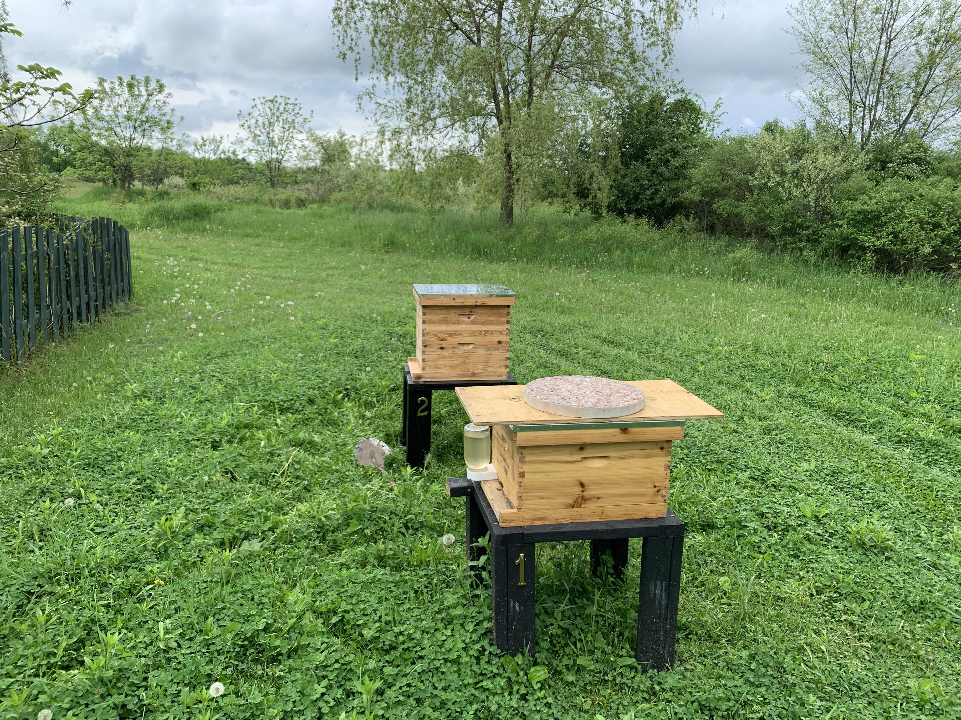 Hive two is set up and the bees are on their way! r/Beekeeping