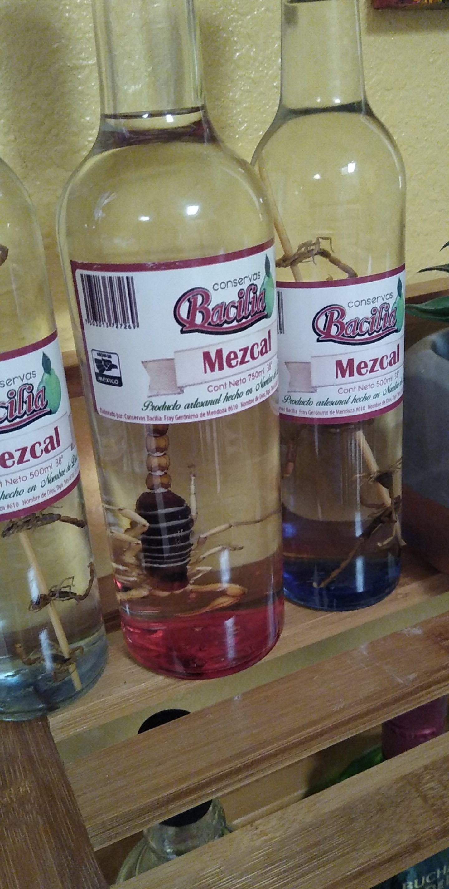 Alcohol from Mexico with actual scorpions in it r/mildlyinteresting