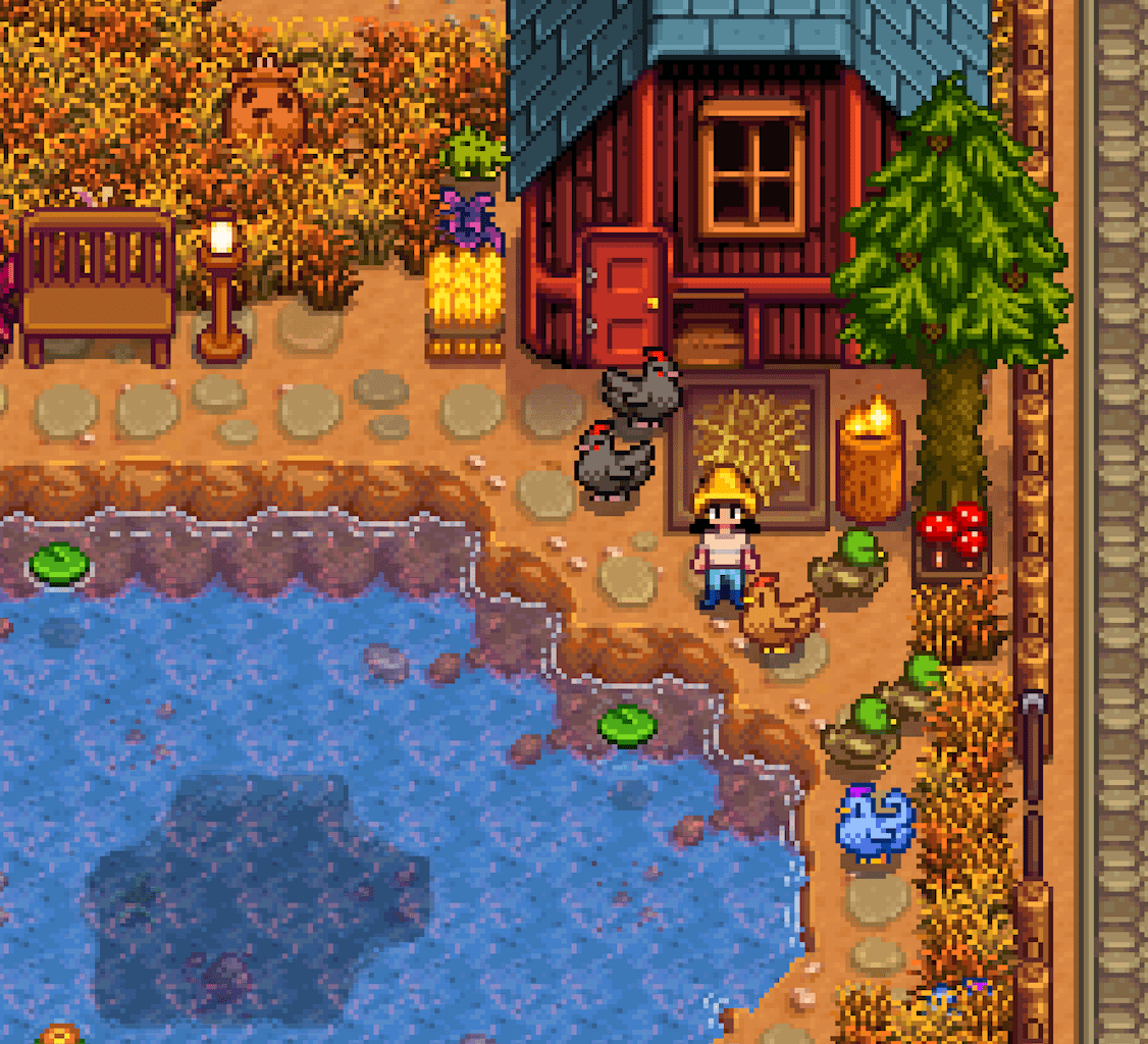 Ideas on why my ducks aren't jumping in/using our pond? I moved their coop right next to the