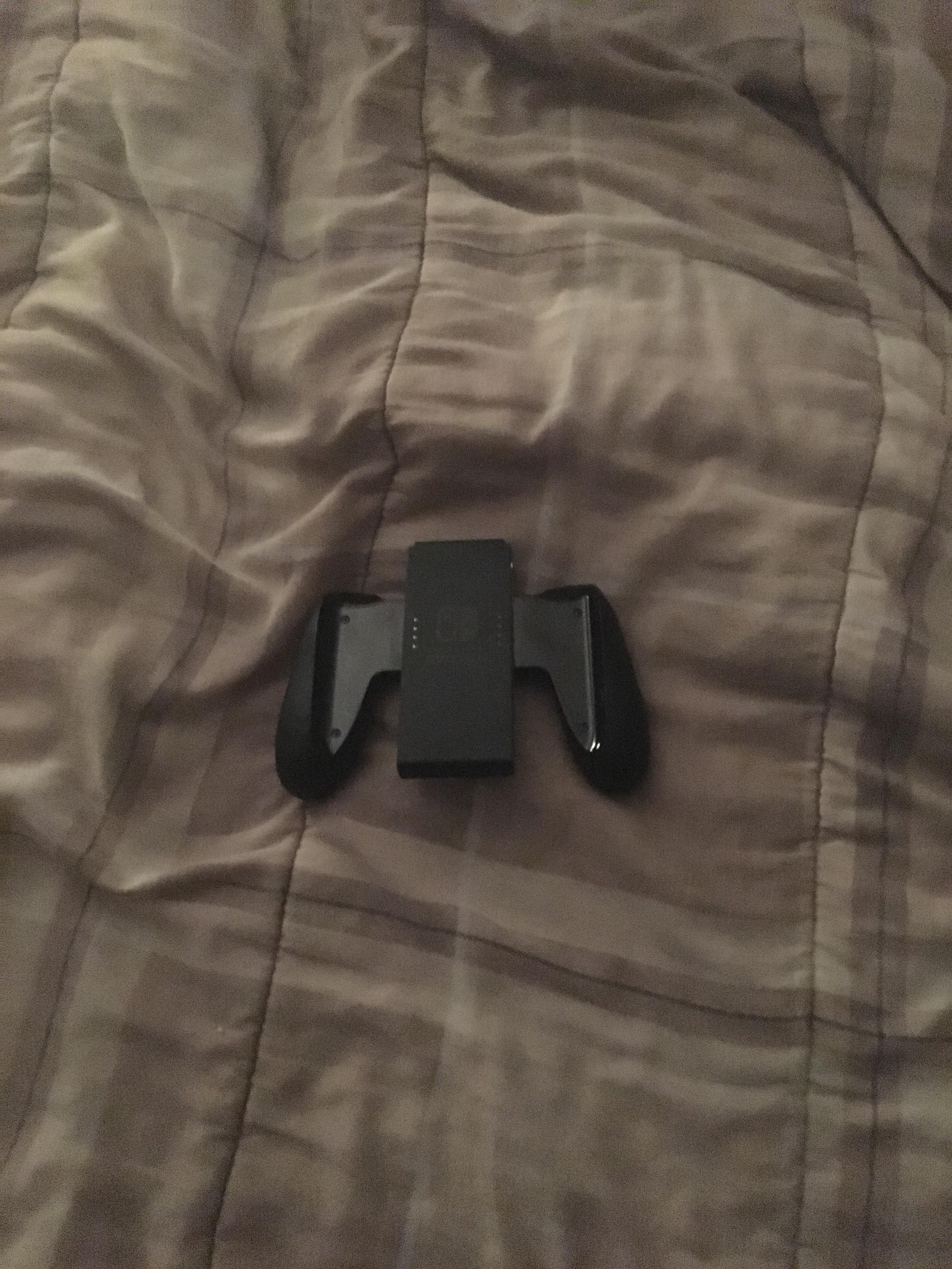 Is this a special item thrown in as a gift with botw and splatoon 2