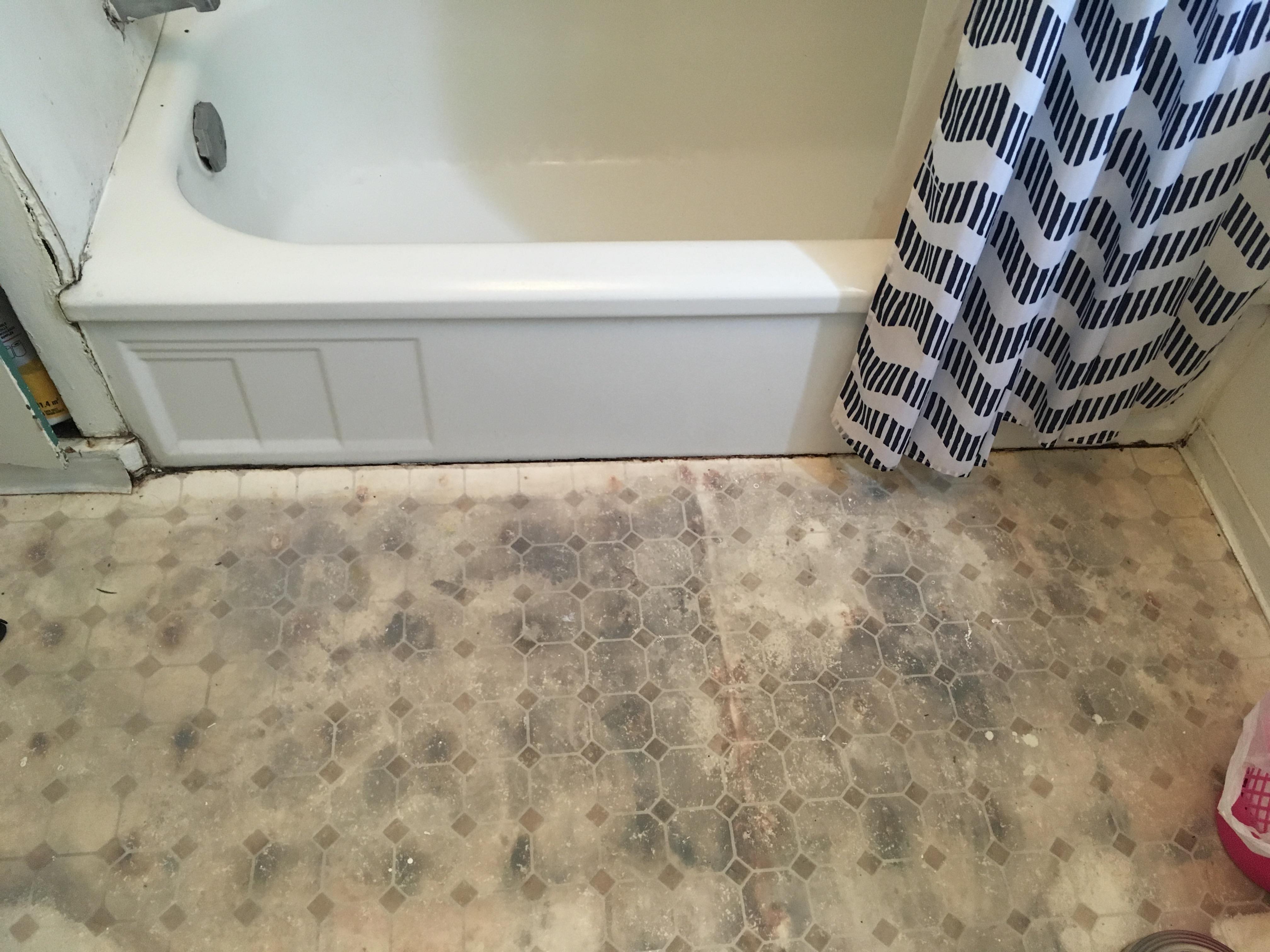 We think there’s a mold problem in our bathroom, and the handyman our landlord sent keeps
