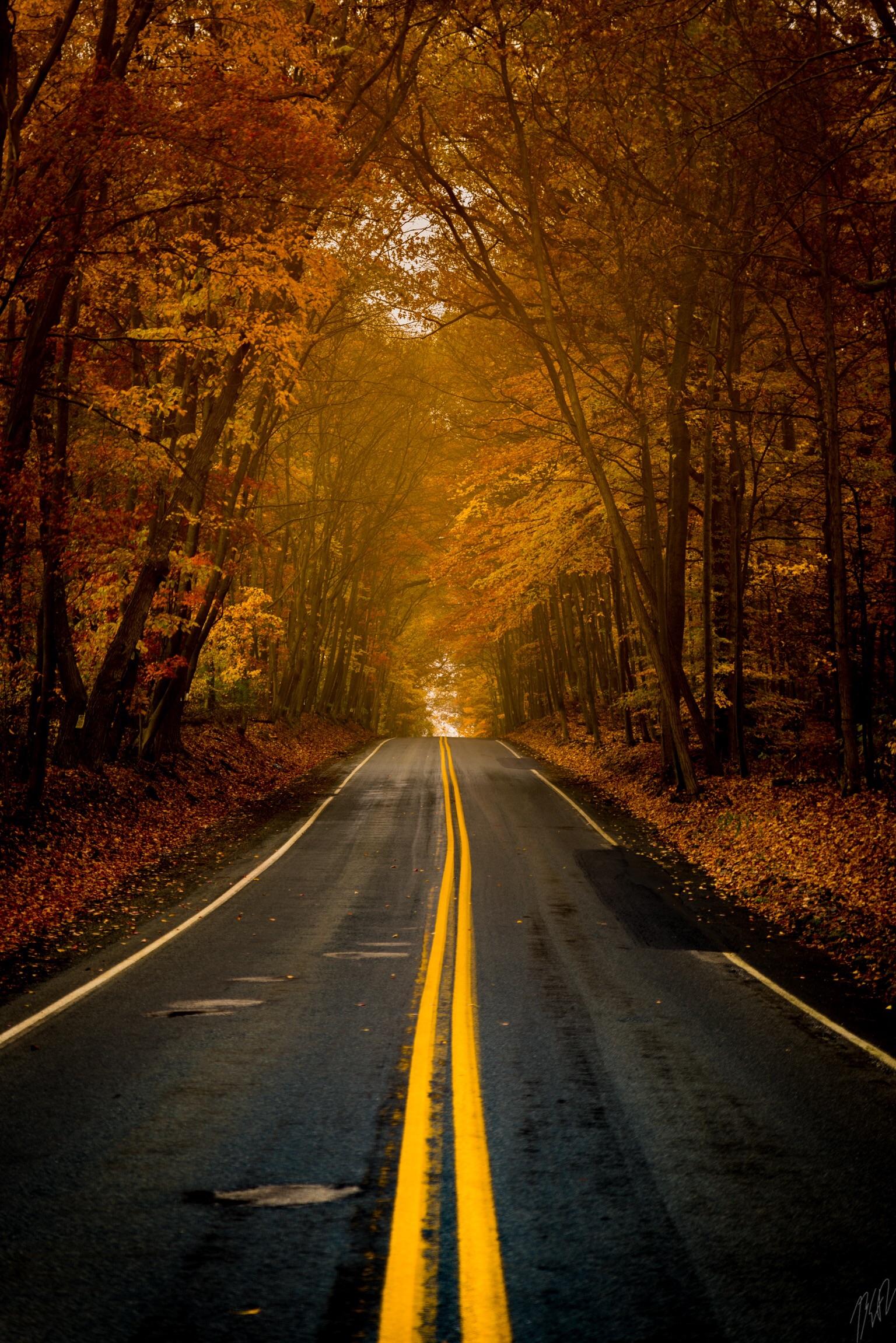 Pennsylvania back roads on a misty autumn day. r/pics
