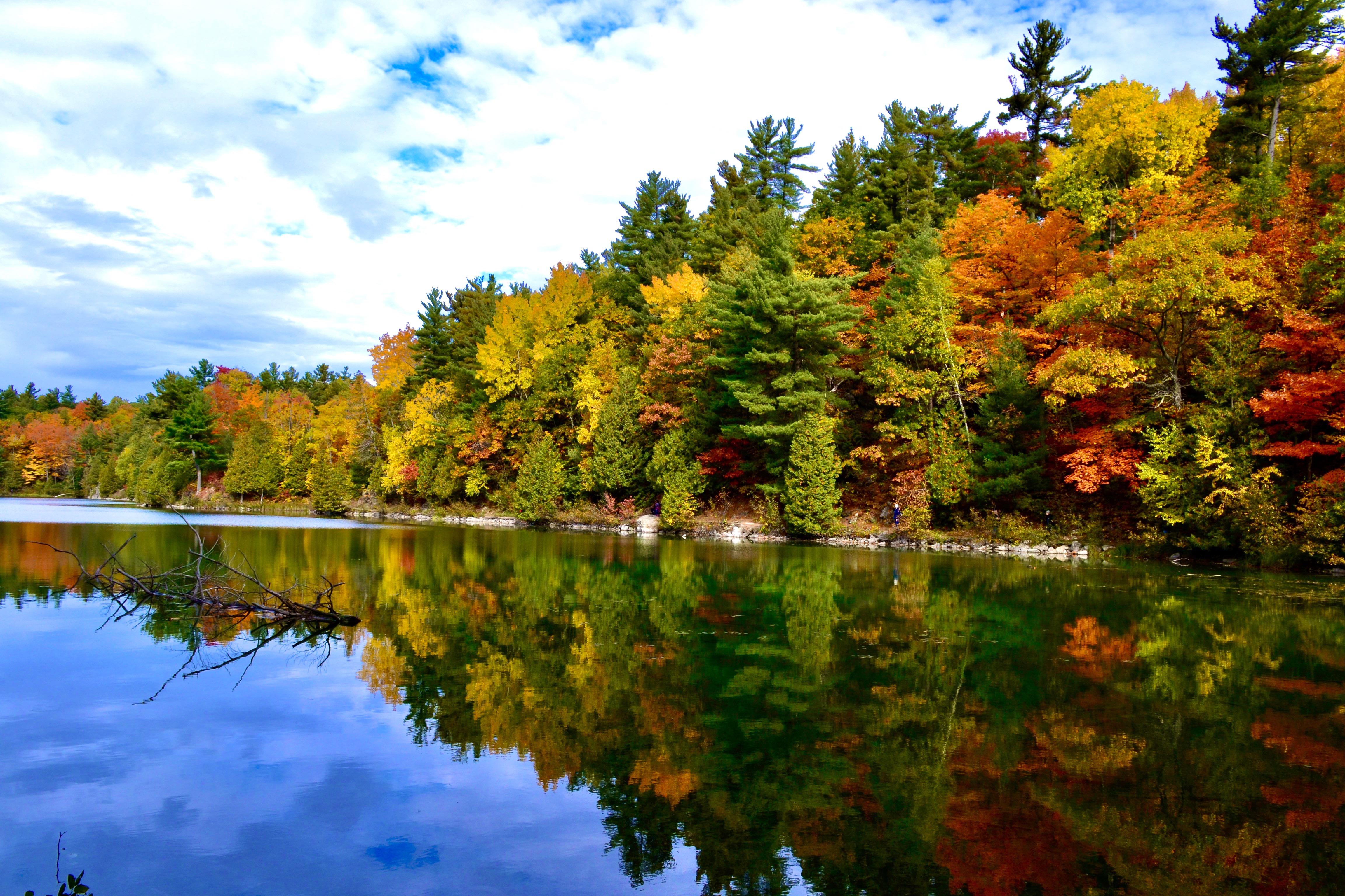 Gatineau Park this morning. r/ottawa