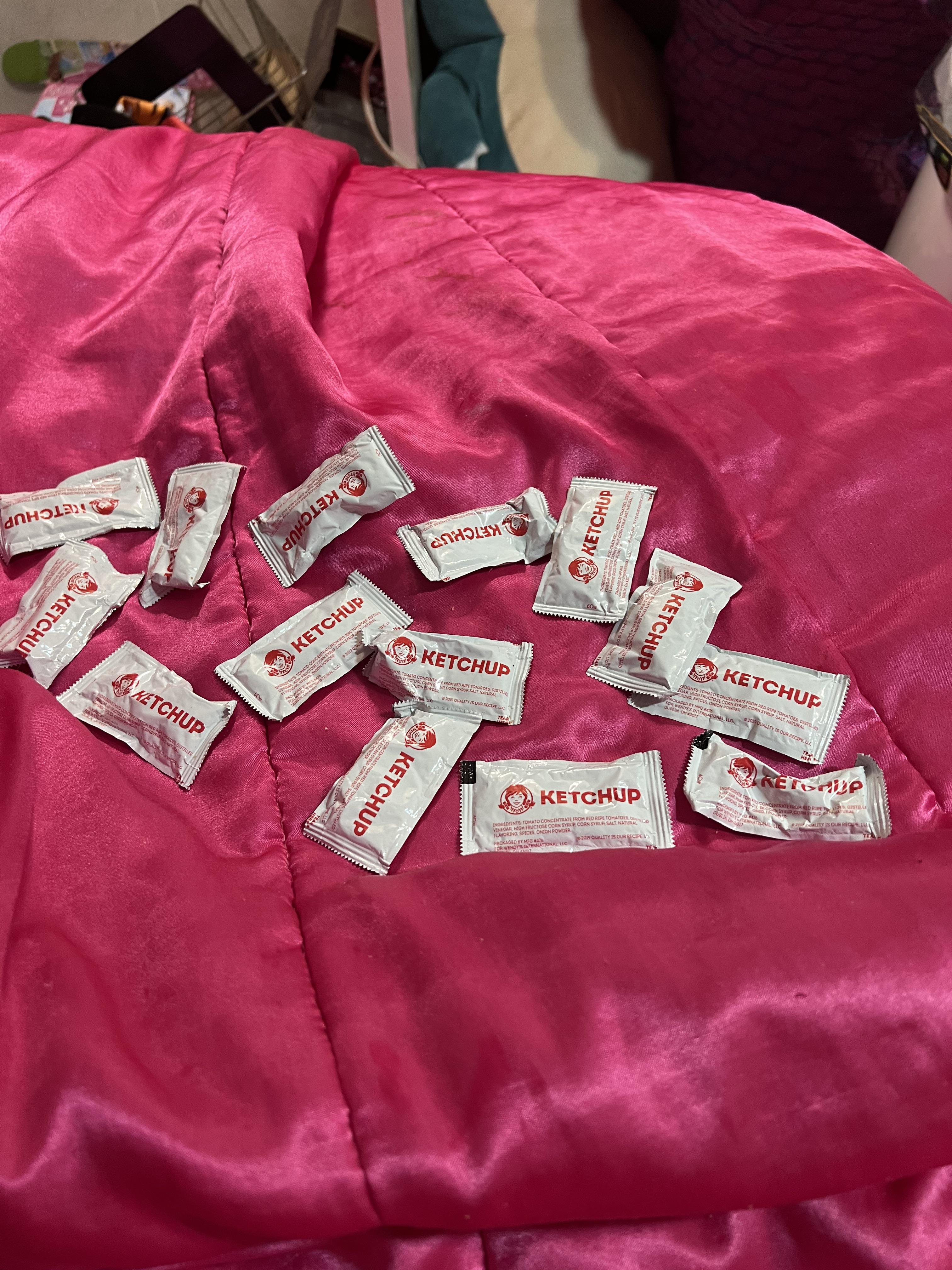 Wendy’s gave me 14 ketchup packets. r/mildlyinteresting