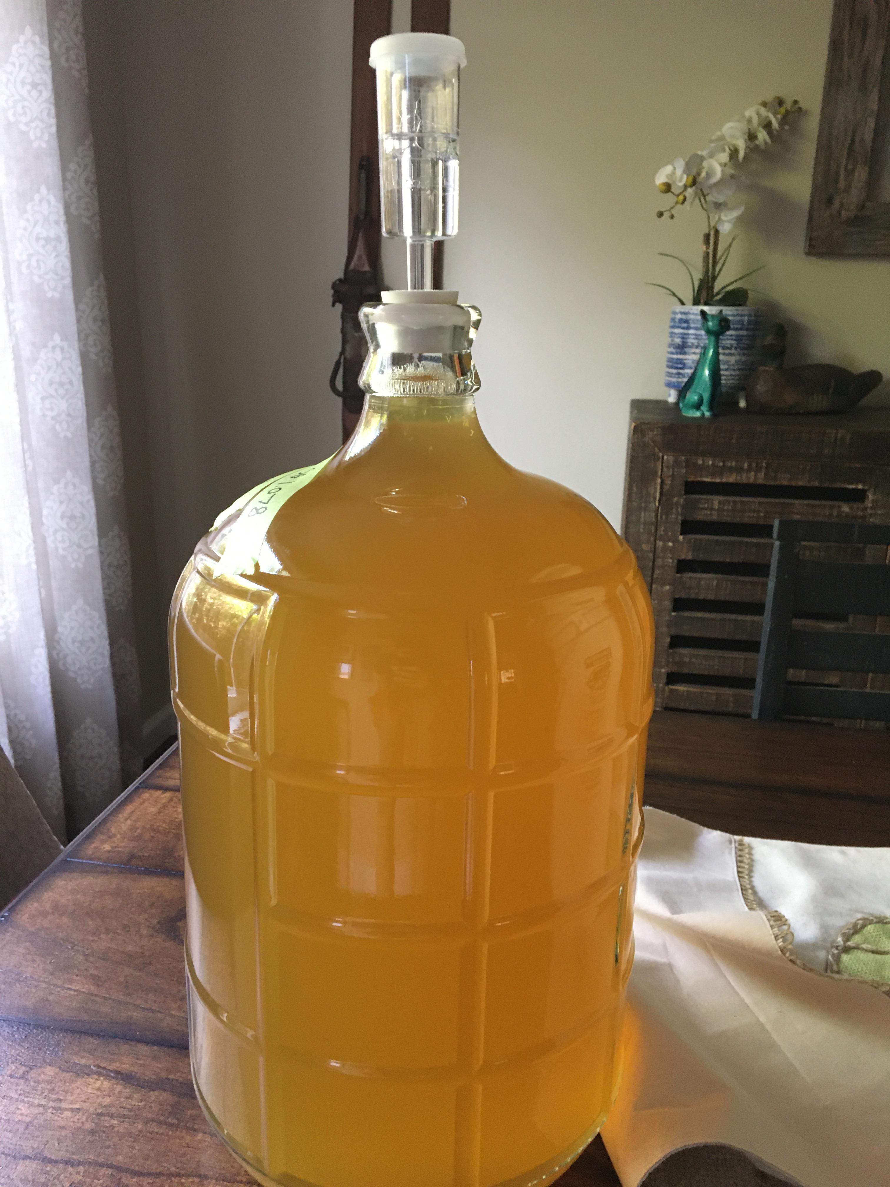 First mead, orange blossom honey and navel oranges r/mead