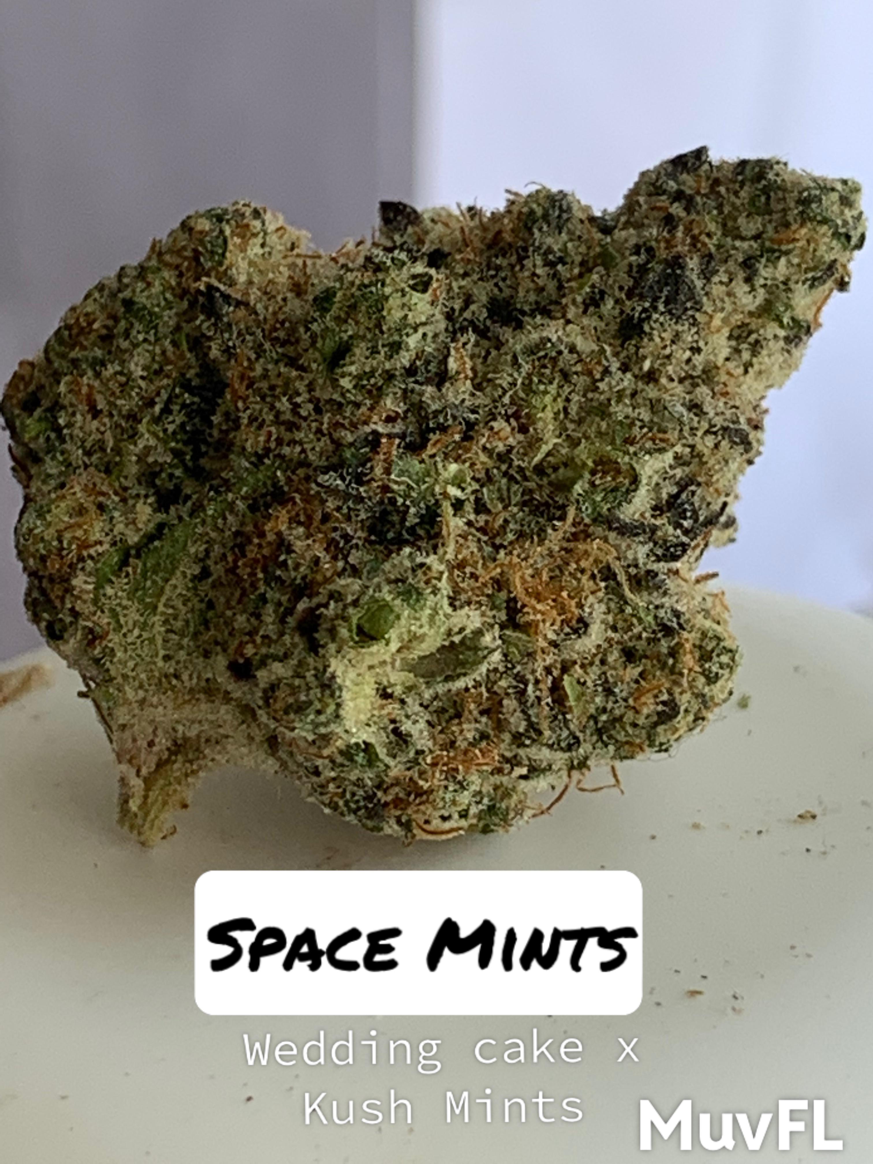 Space Mints 31 Indica Leaning from MuvFL r/FLMedicalTrees