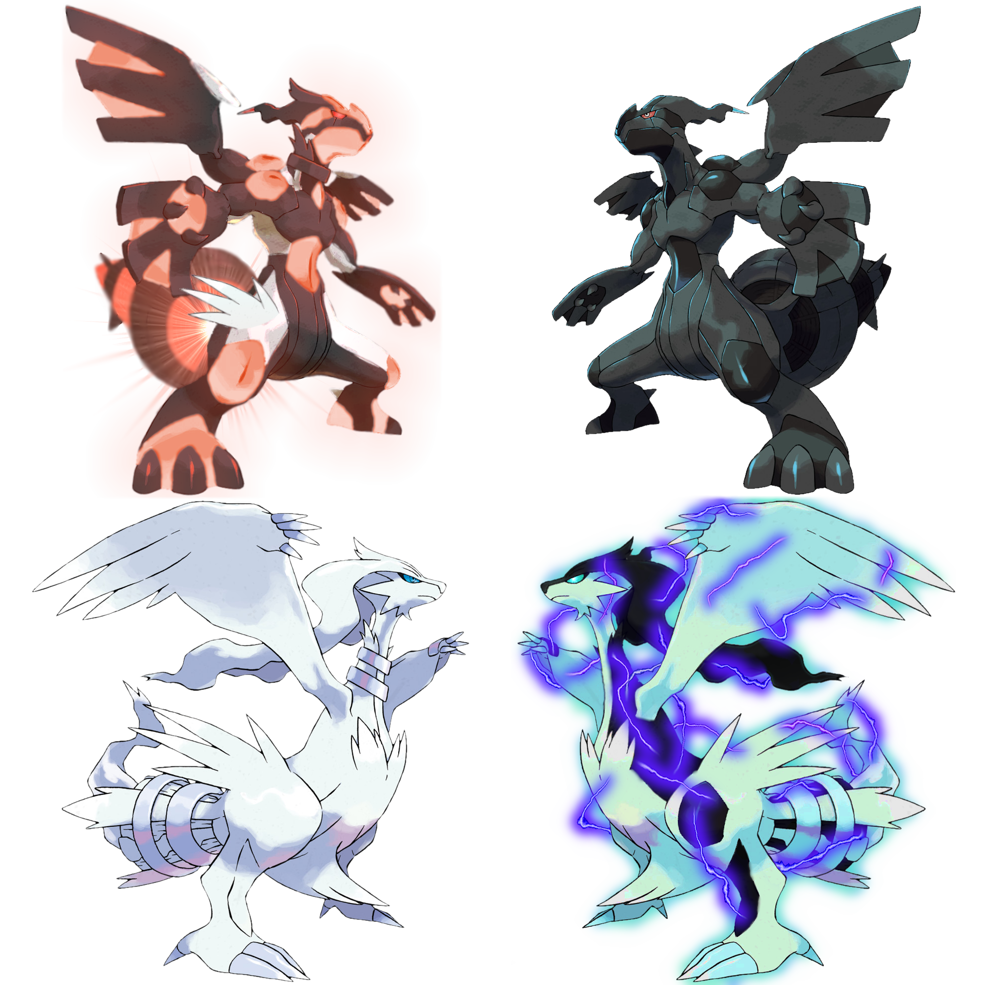 My Take On Zekrom/Reshiram Fusions Zekromwhite and Reshiramblack