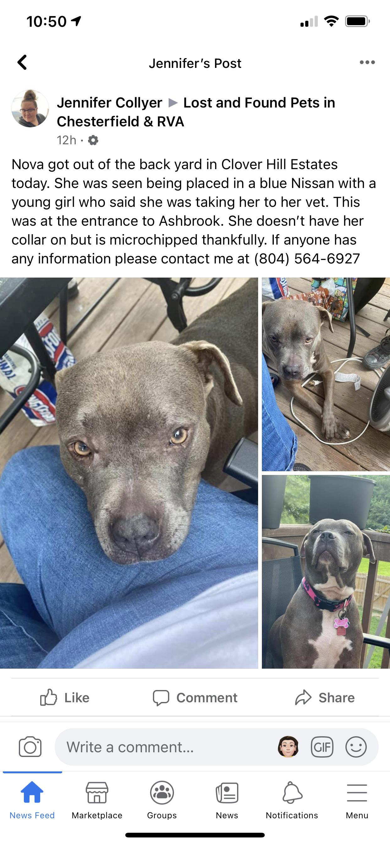 Lost Dog Clover Hill Estates r/ChesterfieldVA