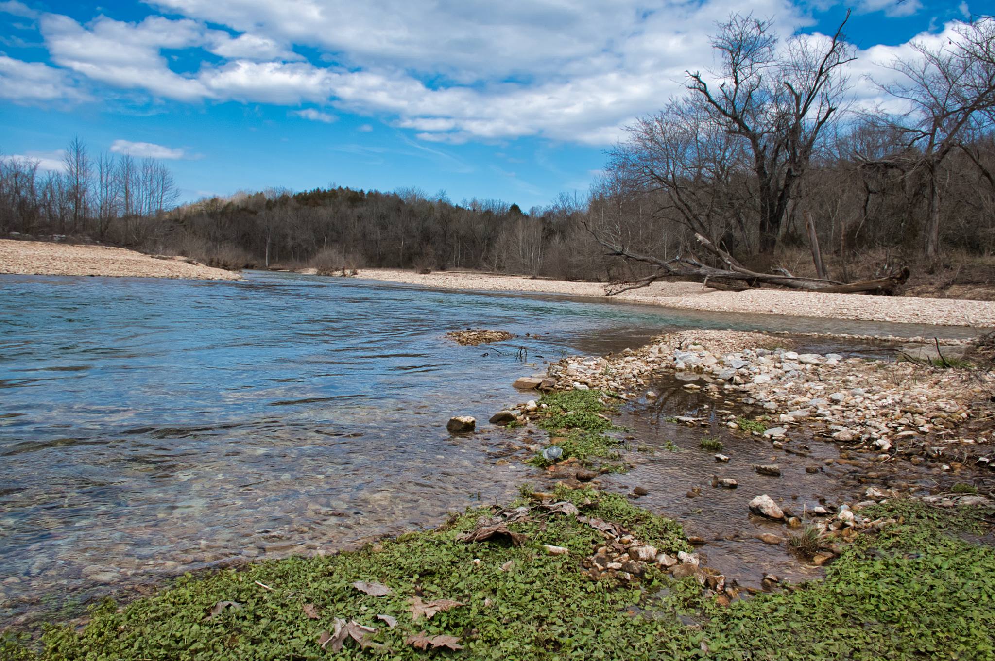Myrtle creek,Harrison ark r/BackRoads_of_Arkansas