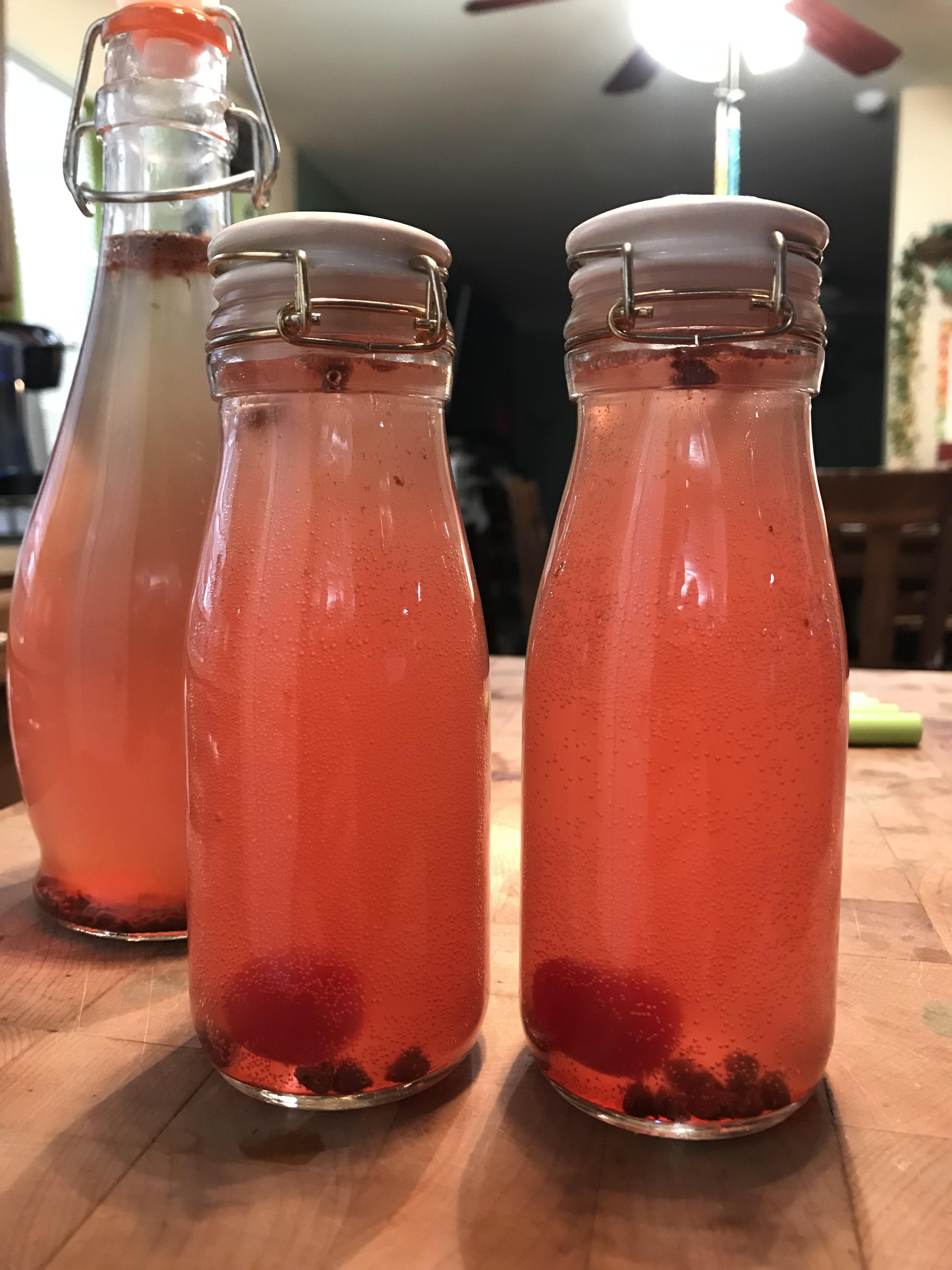 Chocolate Cherry Kombucha made with White Tea ) r/Kombucha