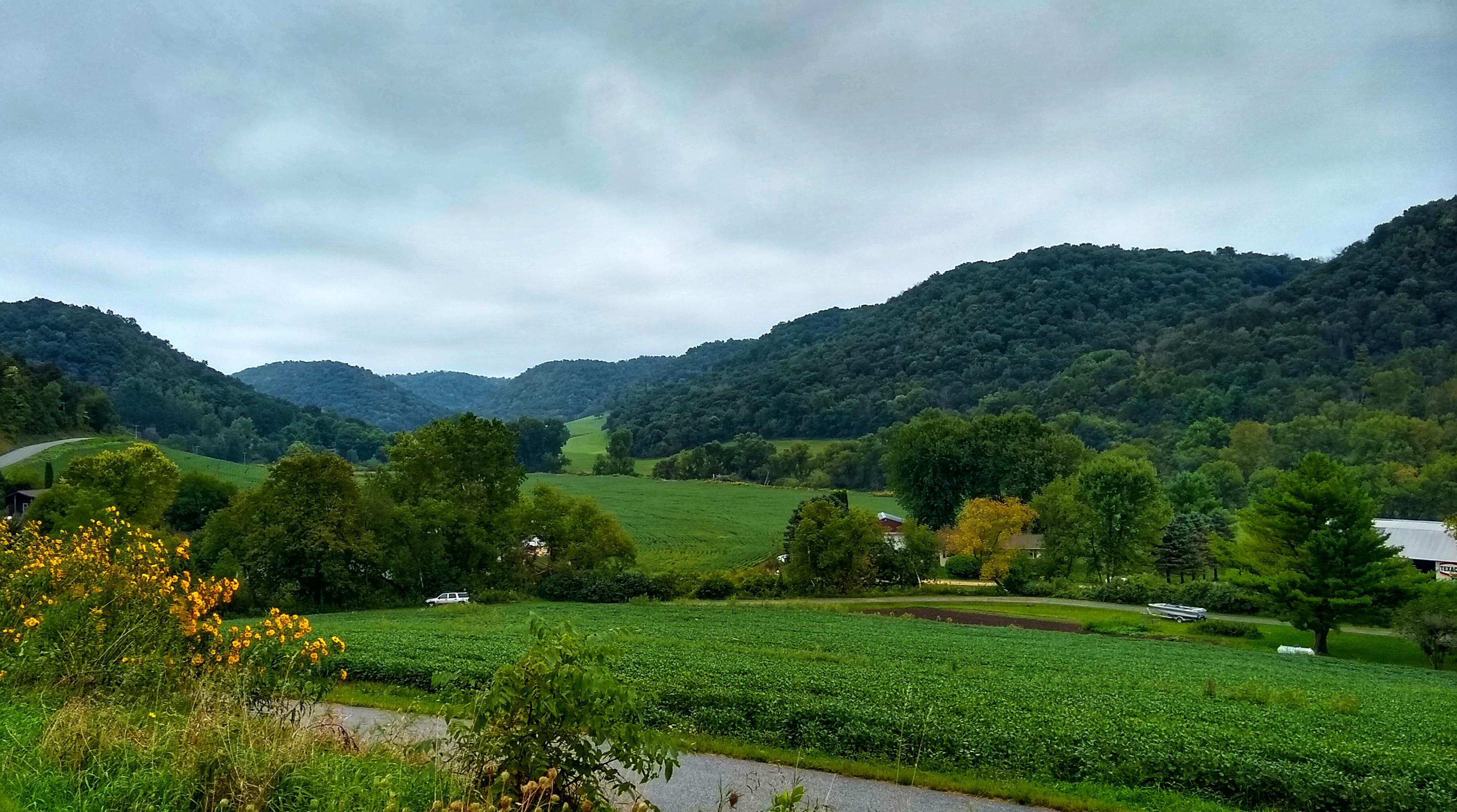 Coulee just south of La Crosse, Wisconsin r/driftless