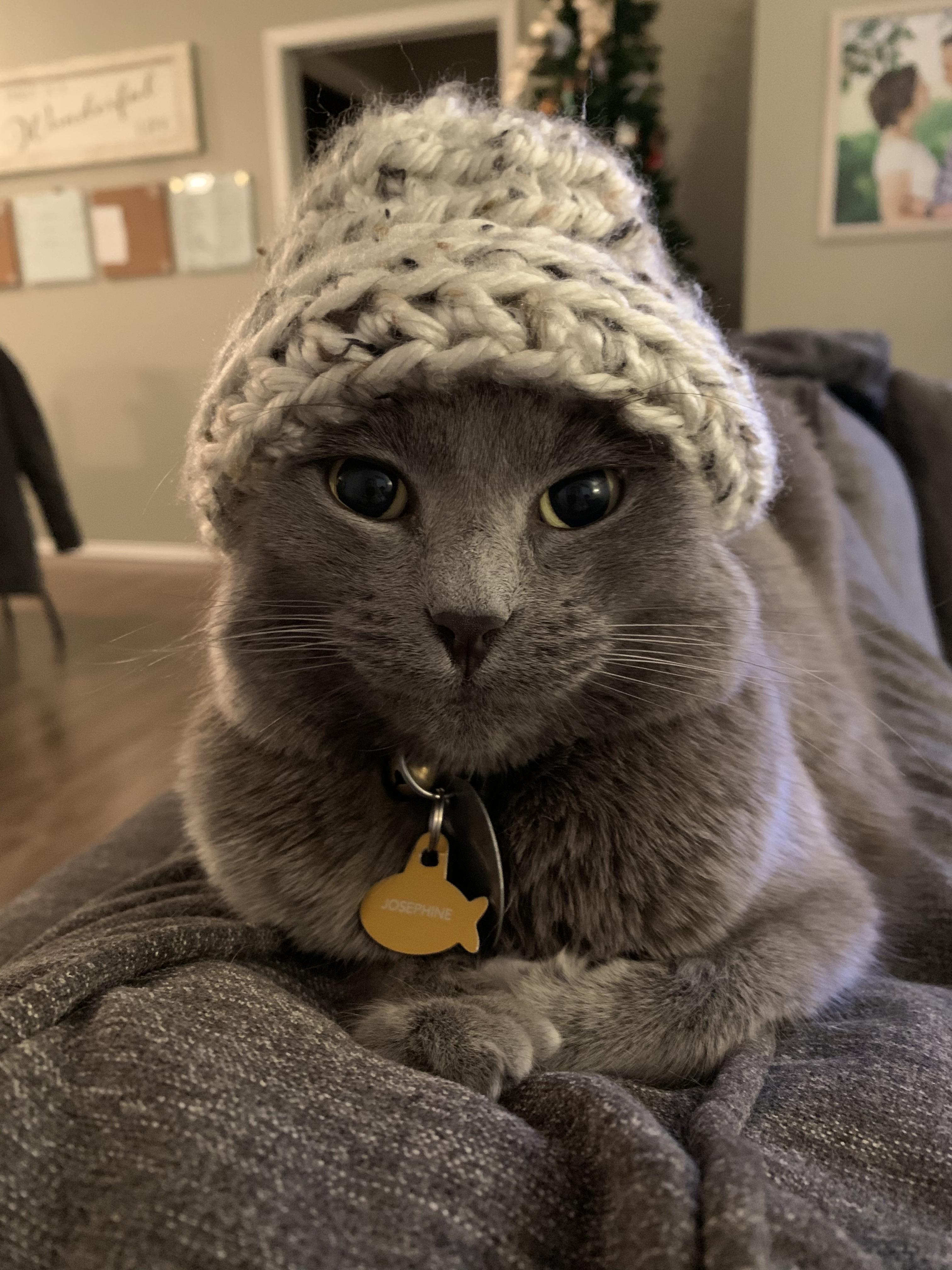 Crocheted a beanie for my friends cat with tiny beans. r/cats