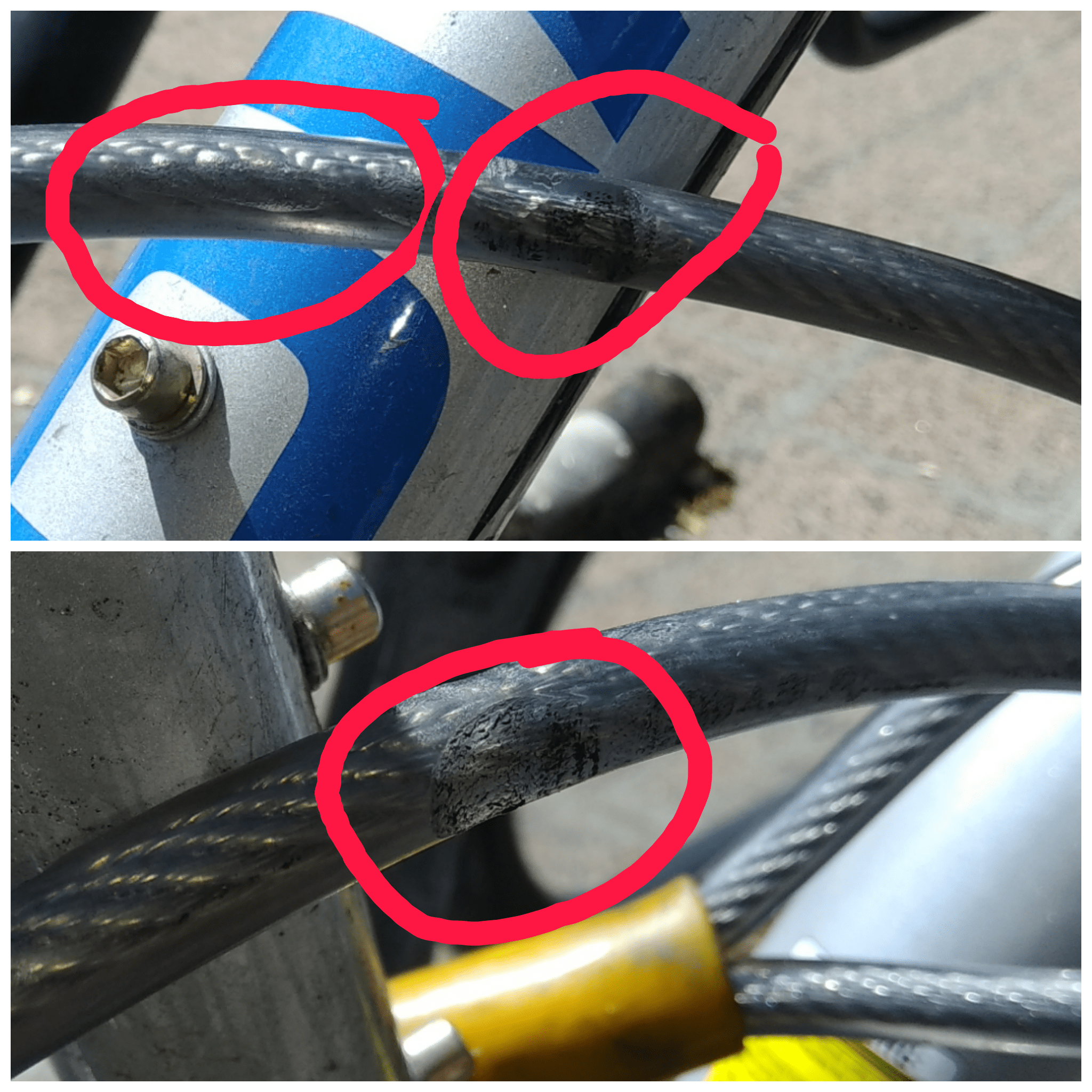 My bike lock after using it for a few days near downtown Ottawa. ottawa