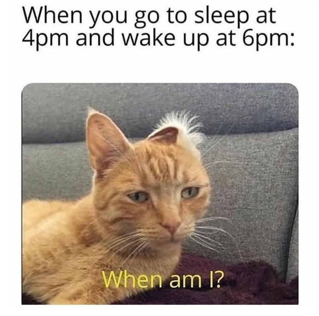 But you still feel tired r/memes