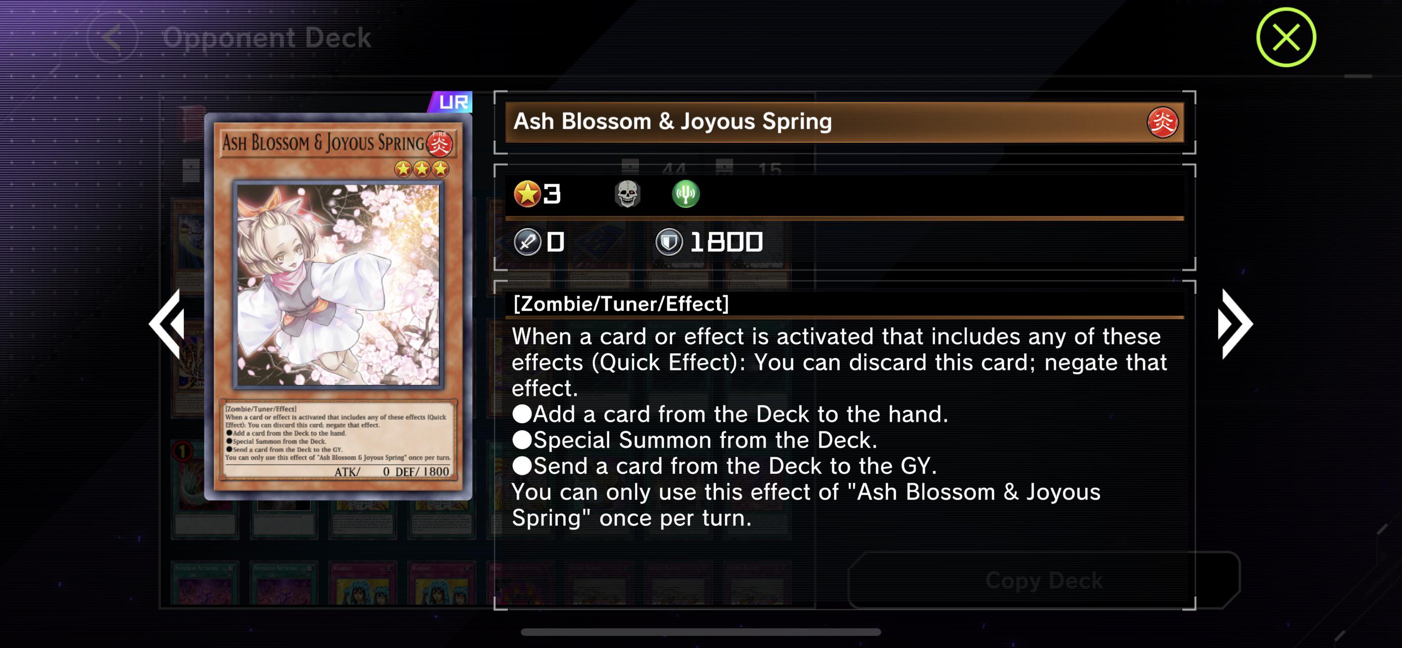 Can someone please explain to me why Ash Blossom & Joyous Spring isn’t