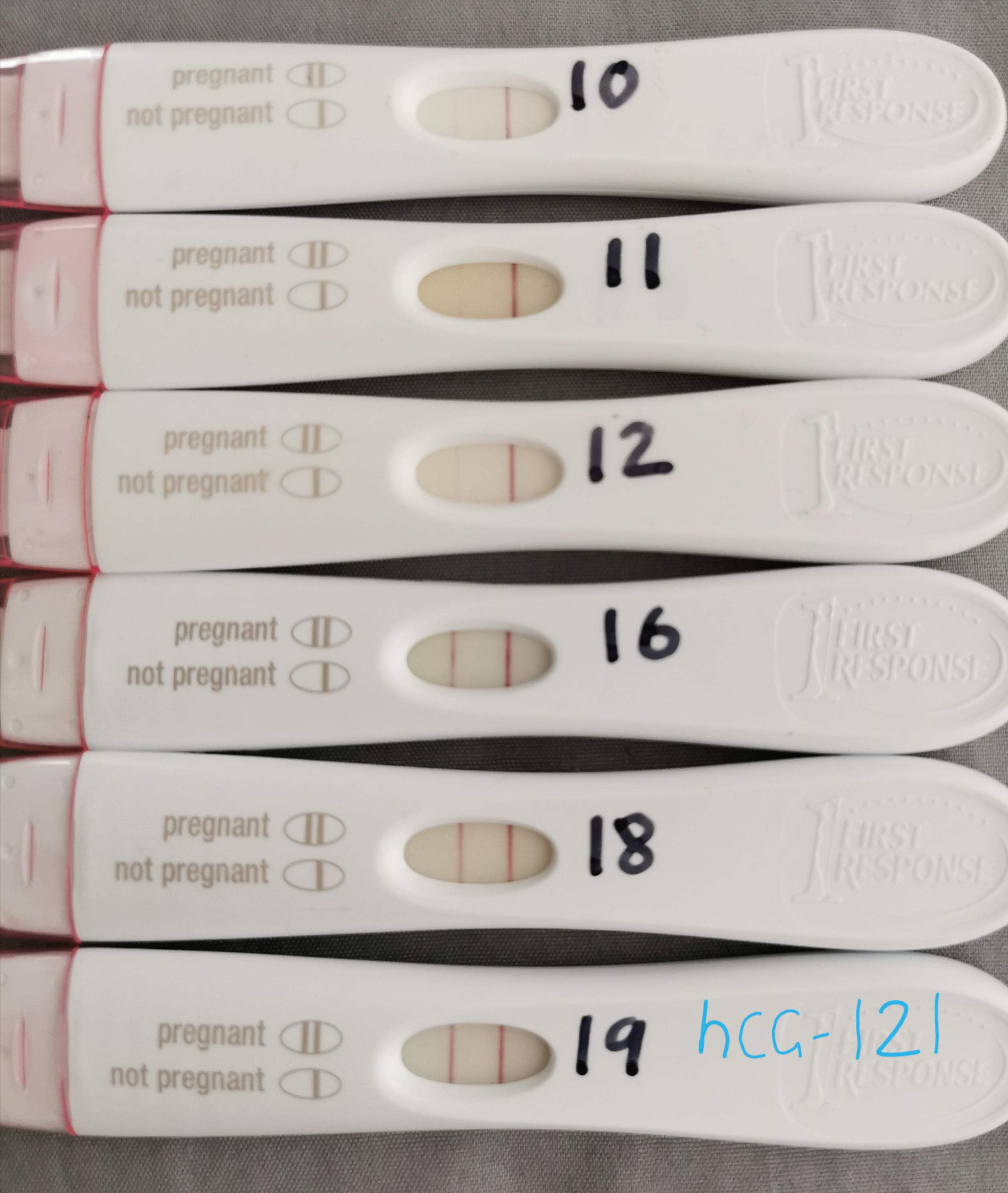 Ectopic Pregnancy Test Progression Captions Trend Today