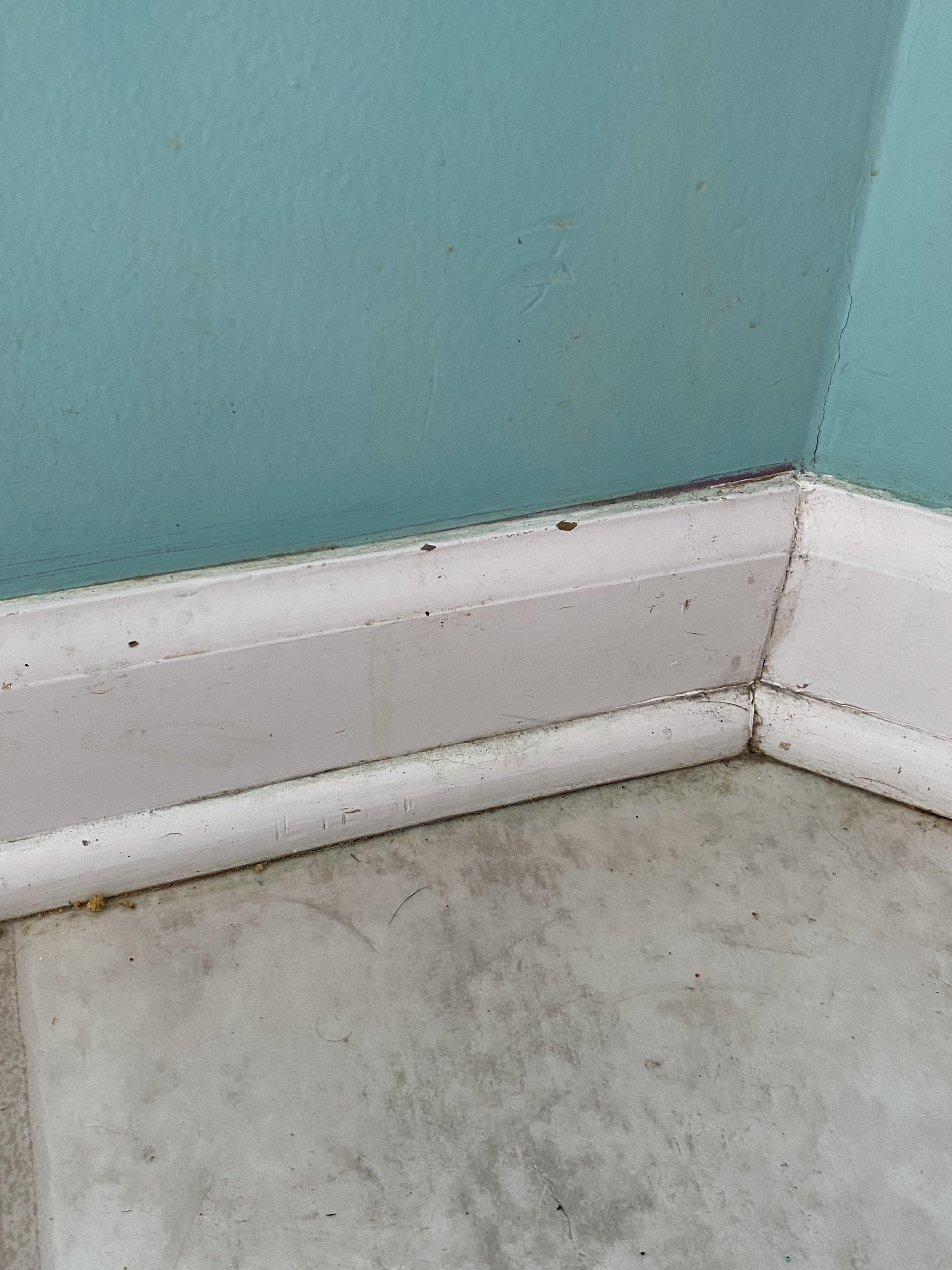 How would I go about cleaning this baseboard? r/CleaningTips