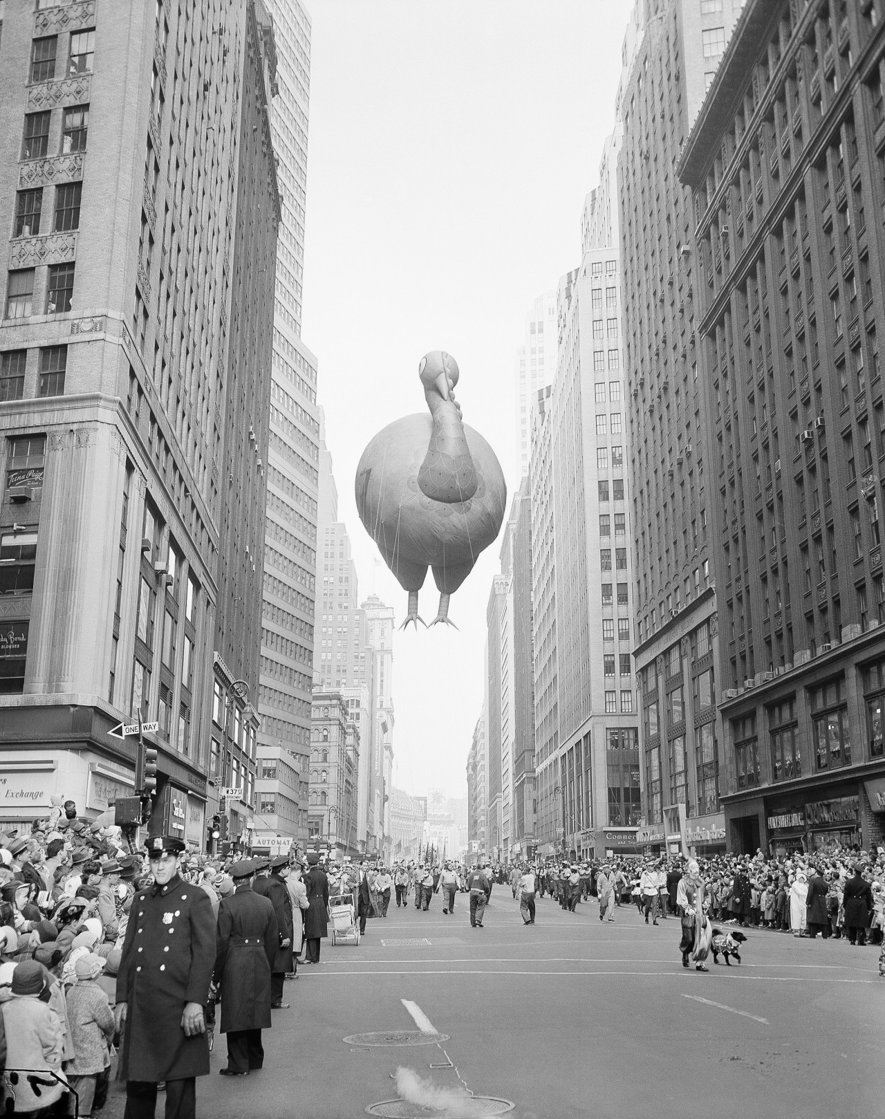 Giant turkey float during the 31st annual Macy’s Thanksgiving Day