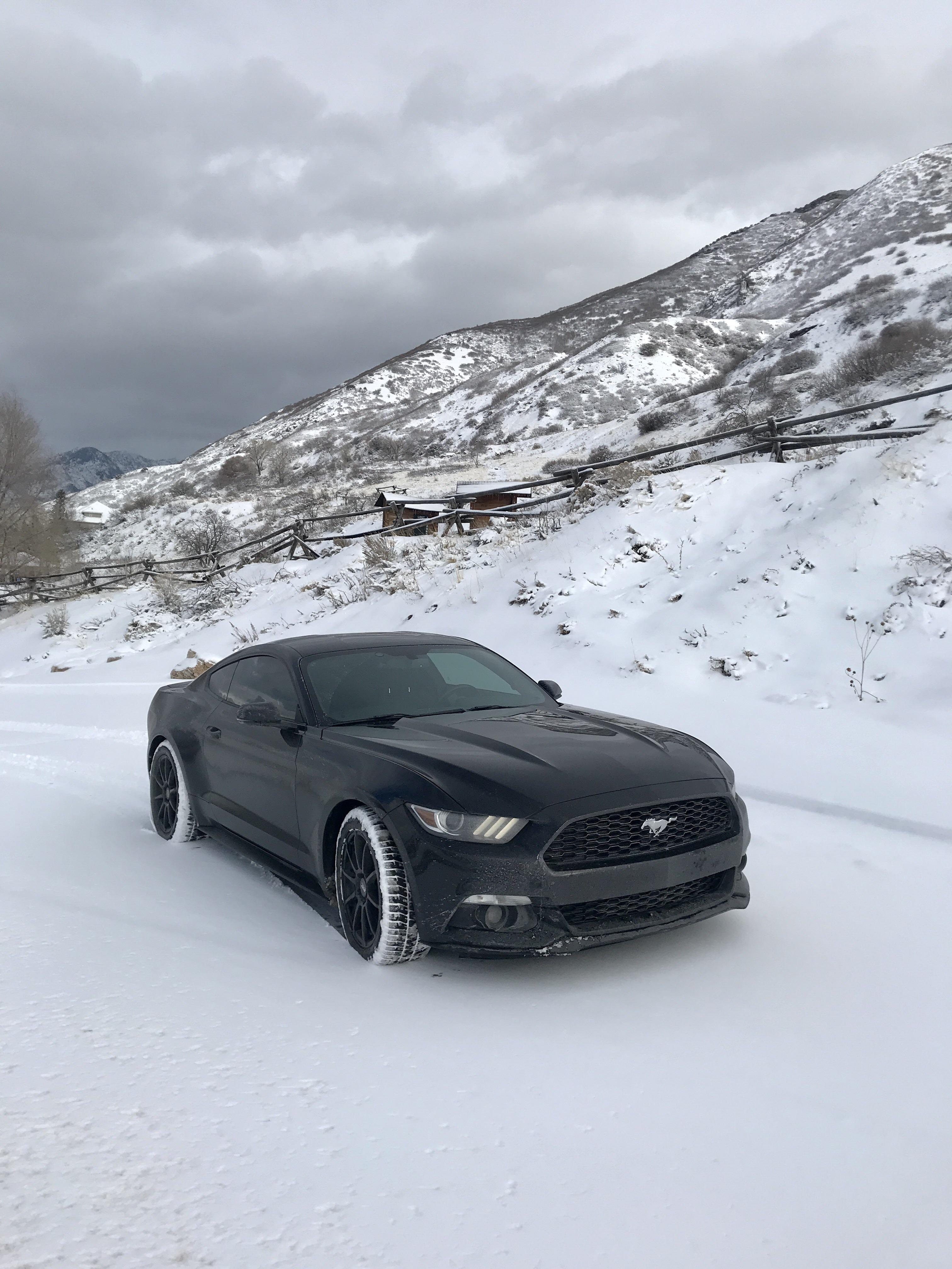 Finally got some proper winter tires this year. They make all the