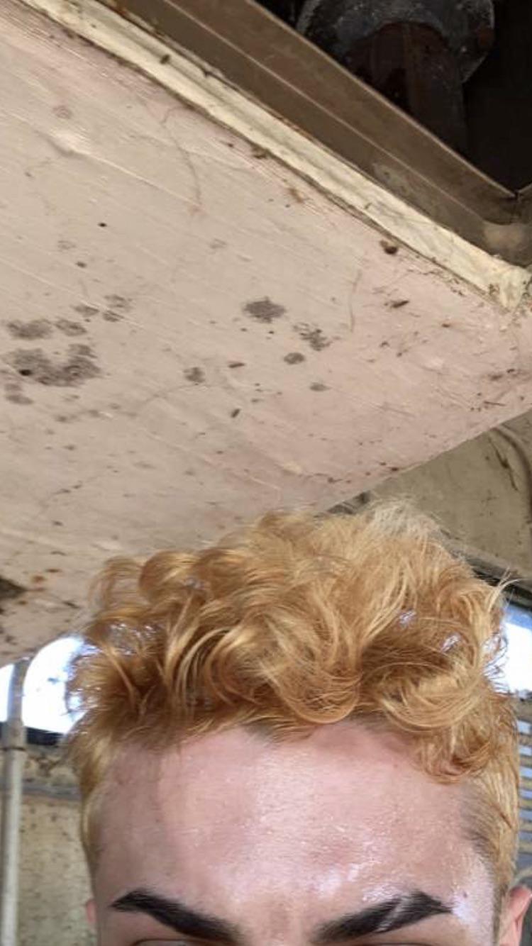 Is my hair light enough to use T14 toner? r/Hair