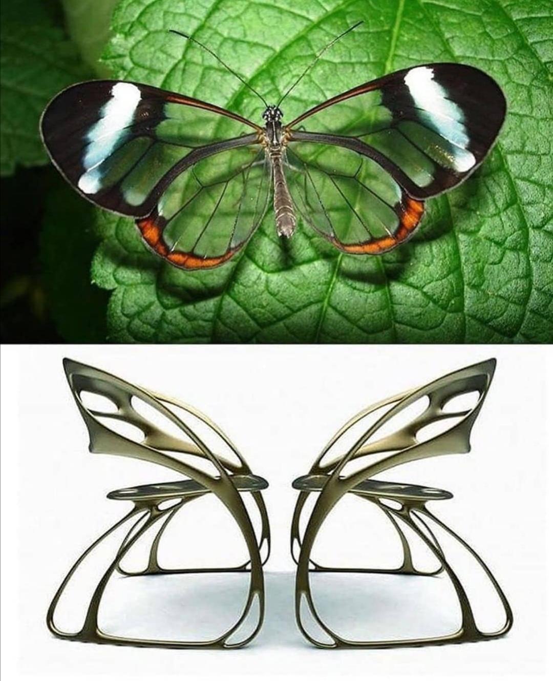 Butterfly chairs r/DesignPorn