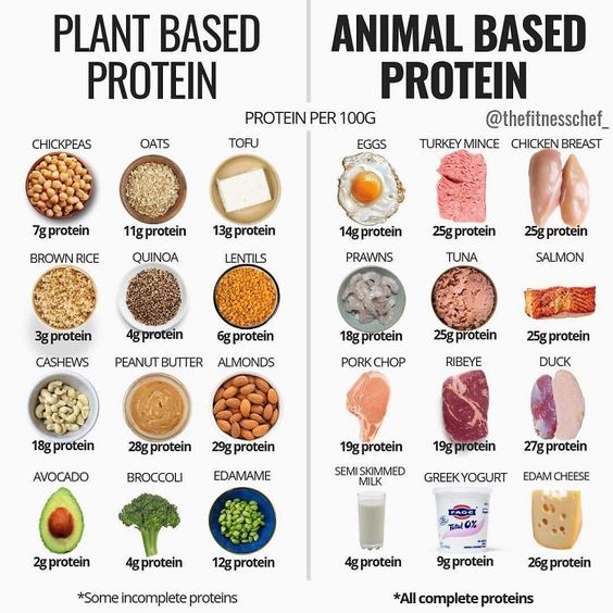Plant Based Protein vs Animal Based Protein r/HealthyEatingnow