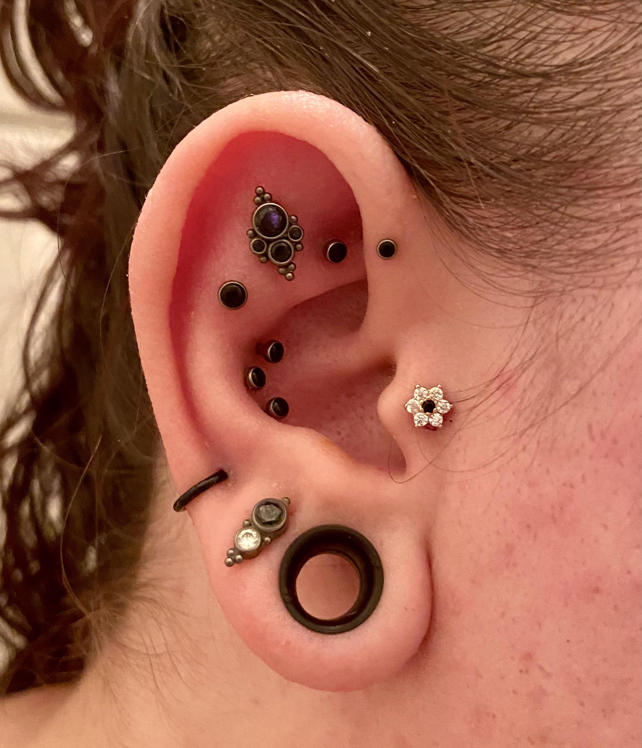 My right ear setup is finally complete! r/piercing