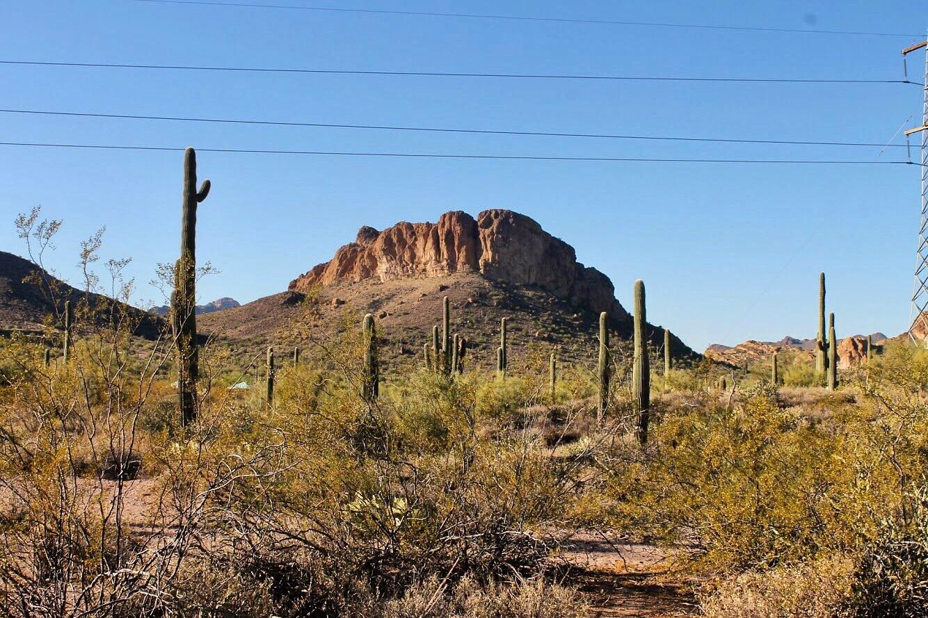 Apache Junction Needle Vista r/arizona