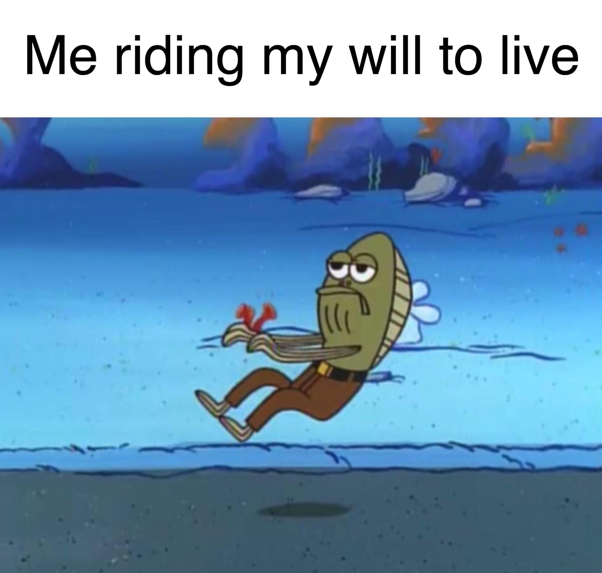 Yes DADDY dankmemes