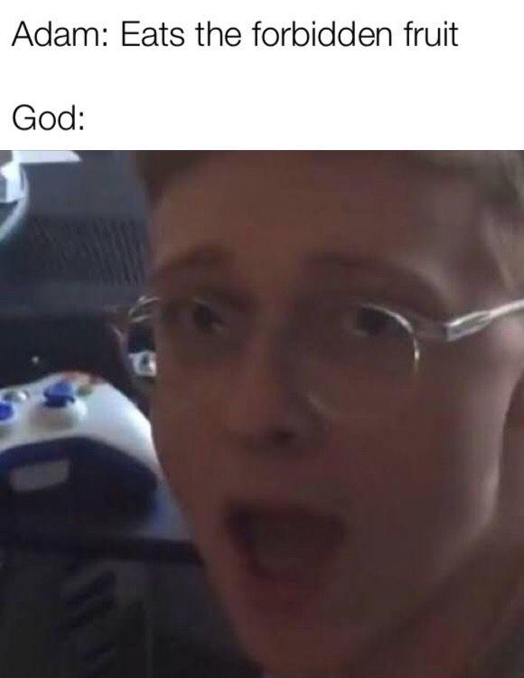 I miss vine memes