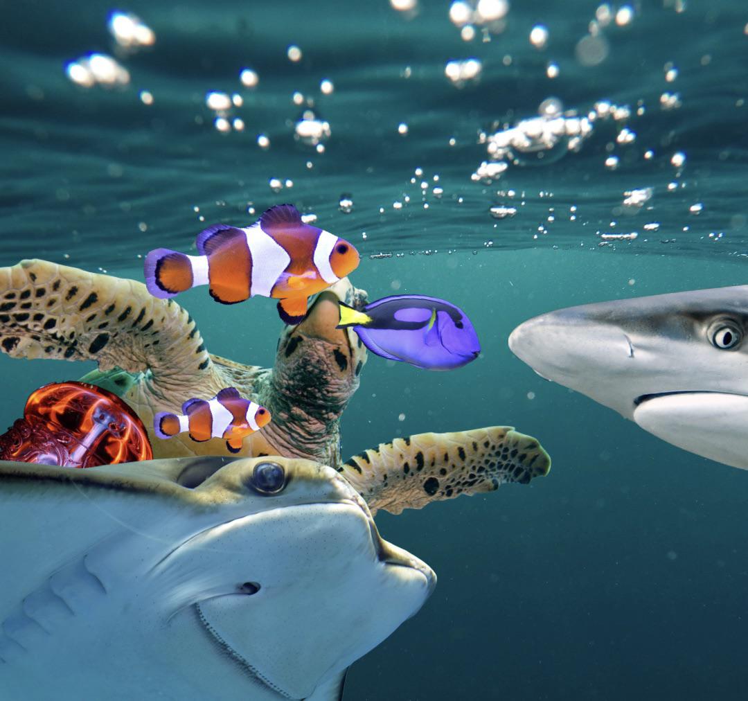 Concepts of Biology 1st Edition Textbook Solutions