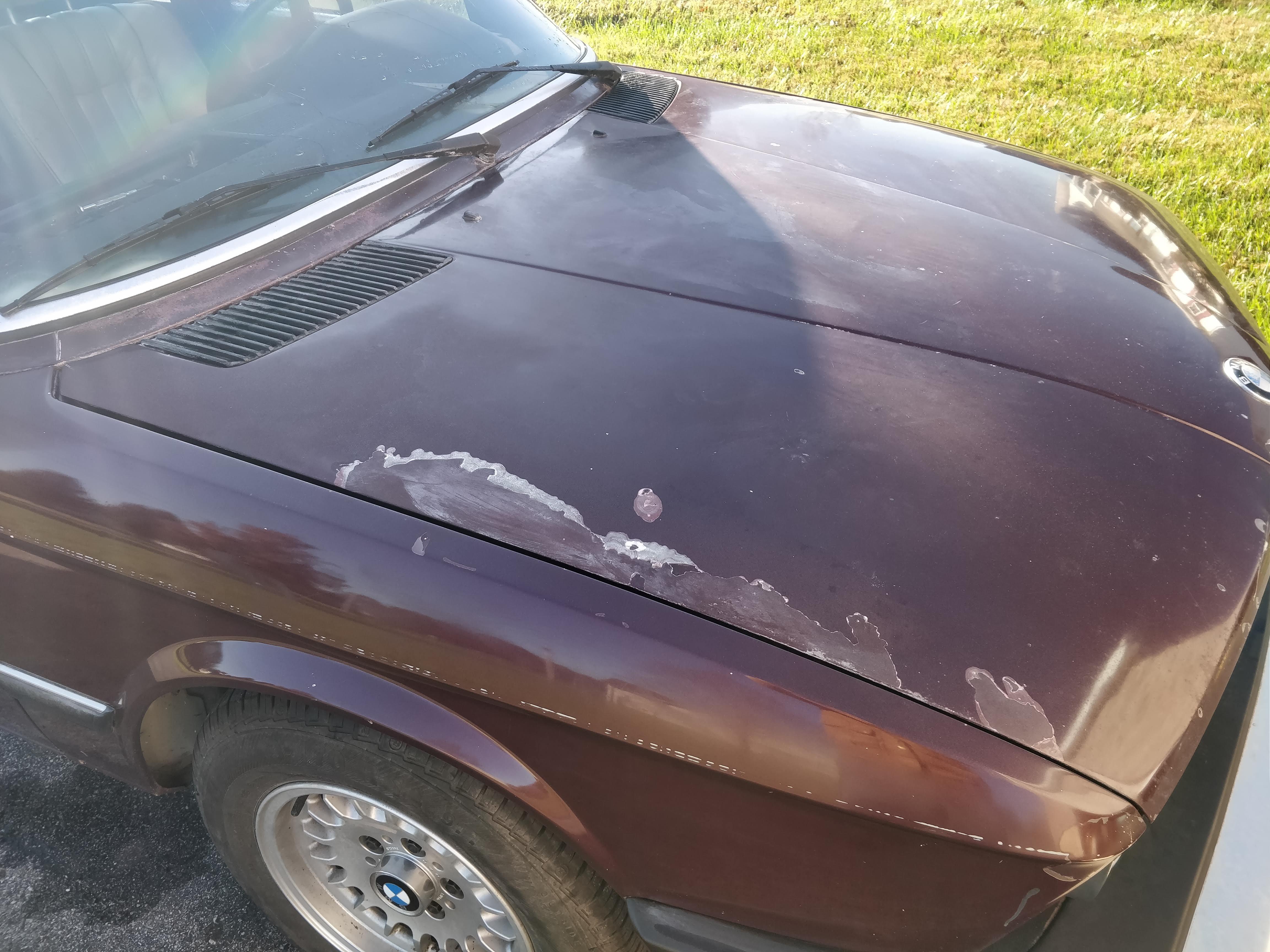 Single Or Two Stage Paint For An Antique Car Antique Cars Blog