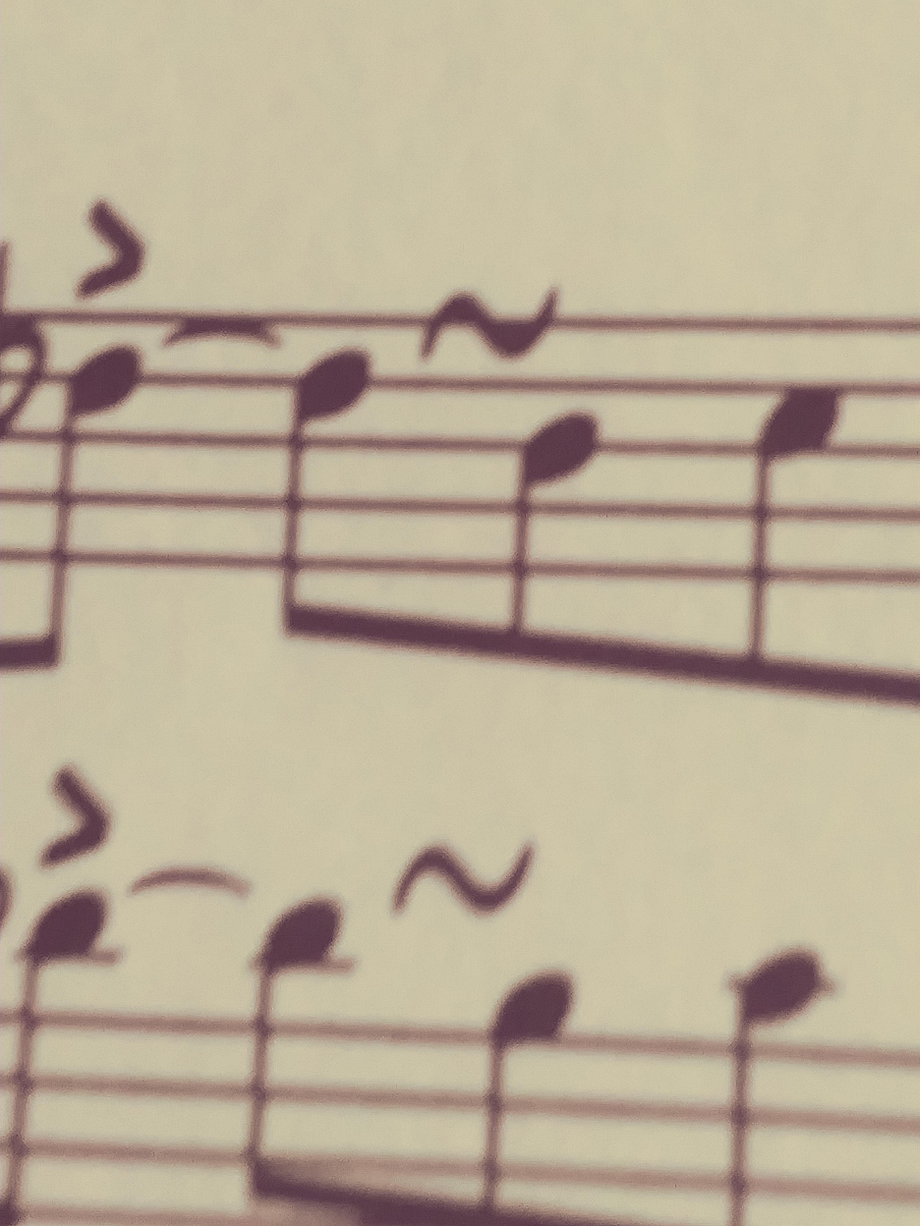 What does this ornament mean? (Piano) r/Jazz