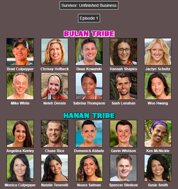 Survivor Unfinished Business (All Runnersup Cast) r/survivor