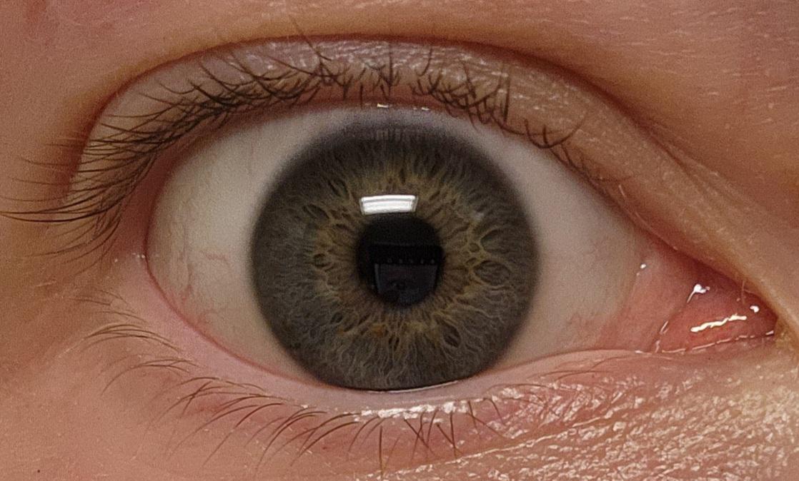 What color are my eyes? r/eyes