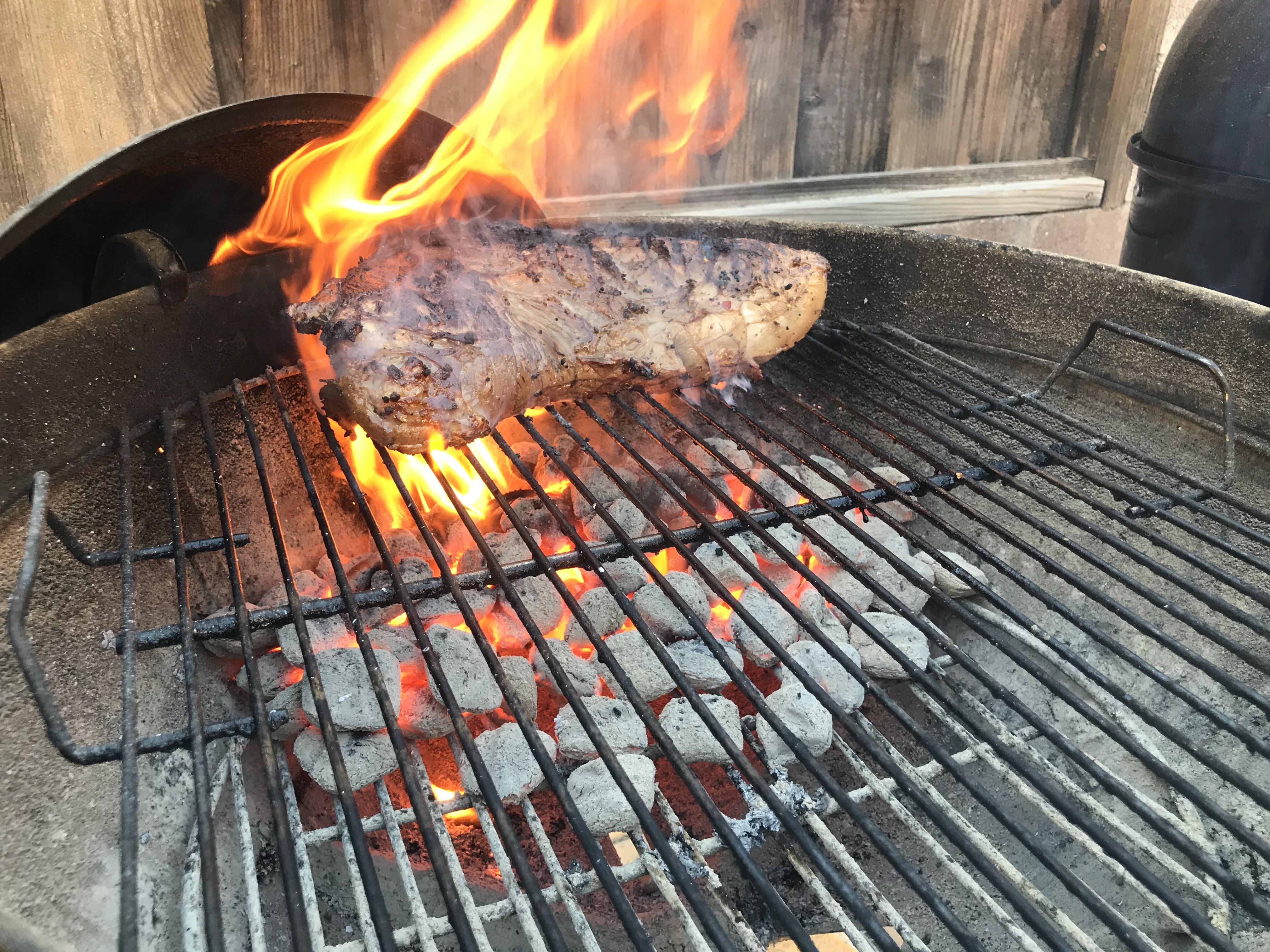 tri tip + weber r/grilling