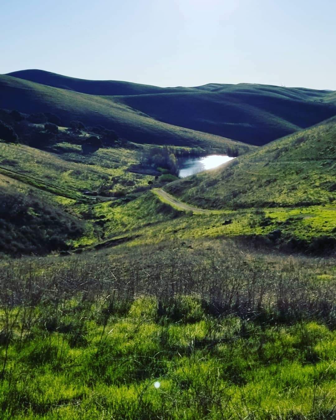Bushy Peak Trail in Livermore, California USA hiking