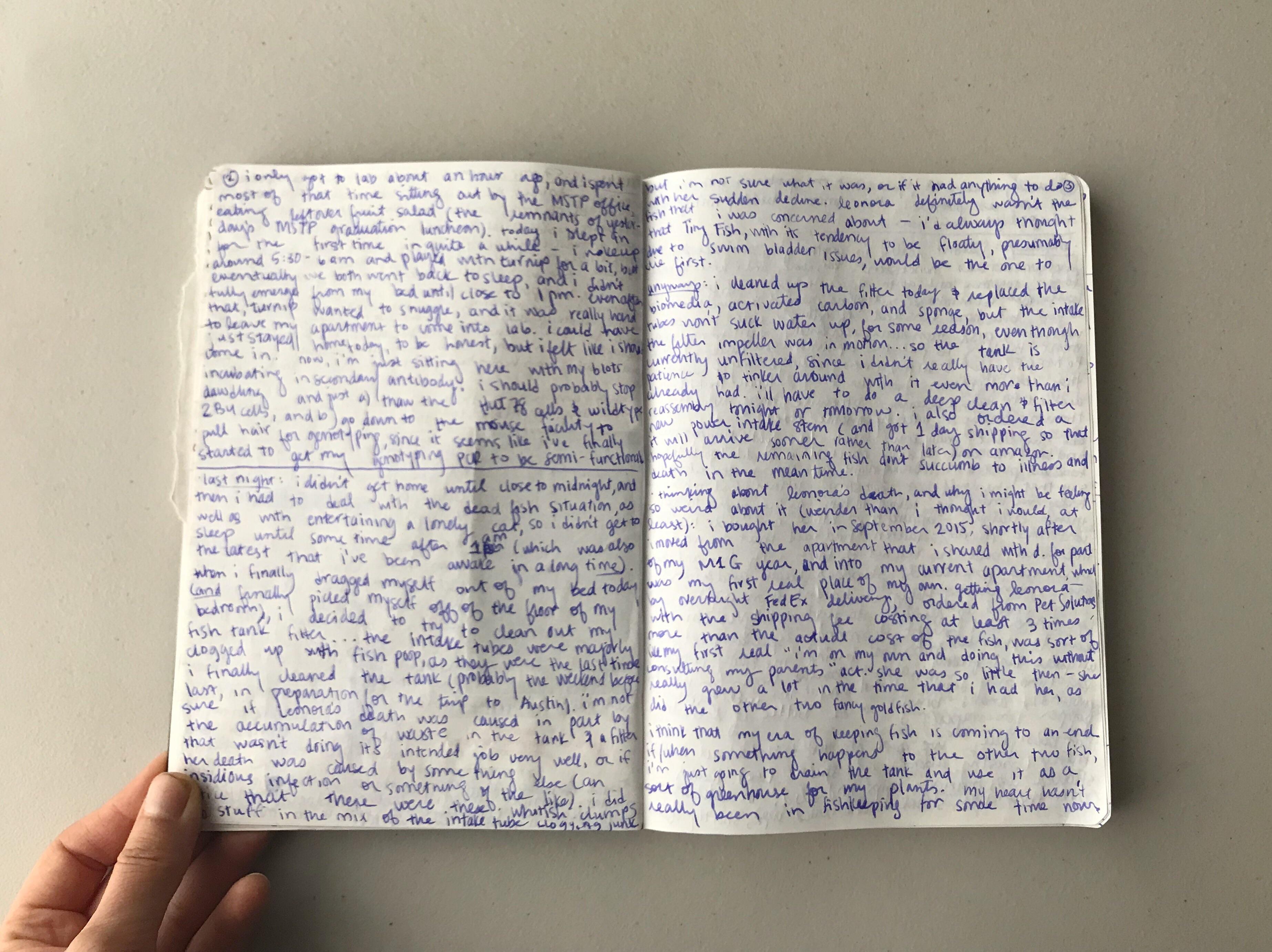 Now that I’m used to the thinness of the paper, I’m really enjoying my