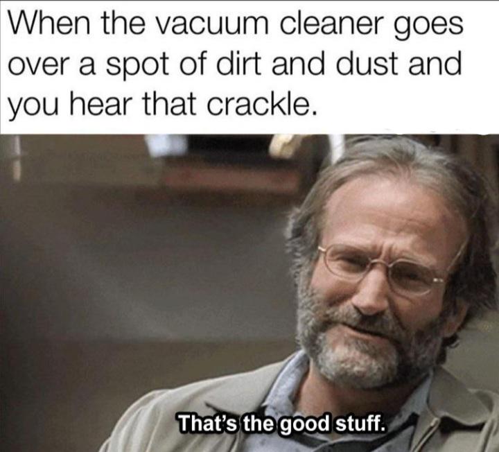 funny memes ; when the vacuum cleaner goes...